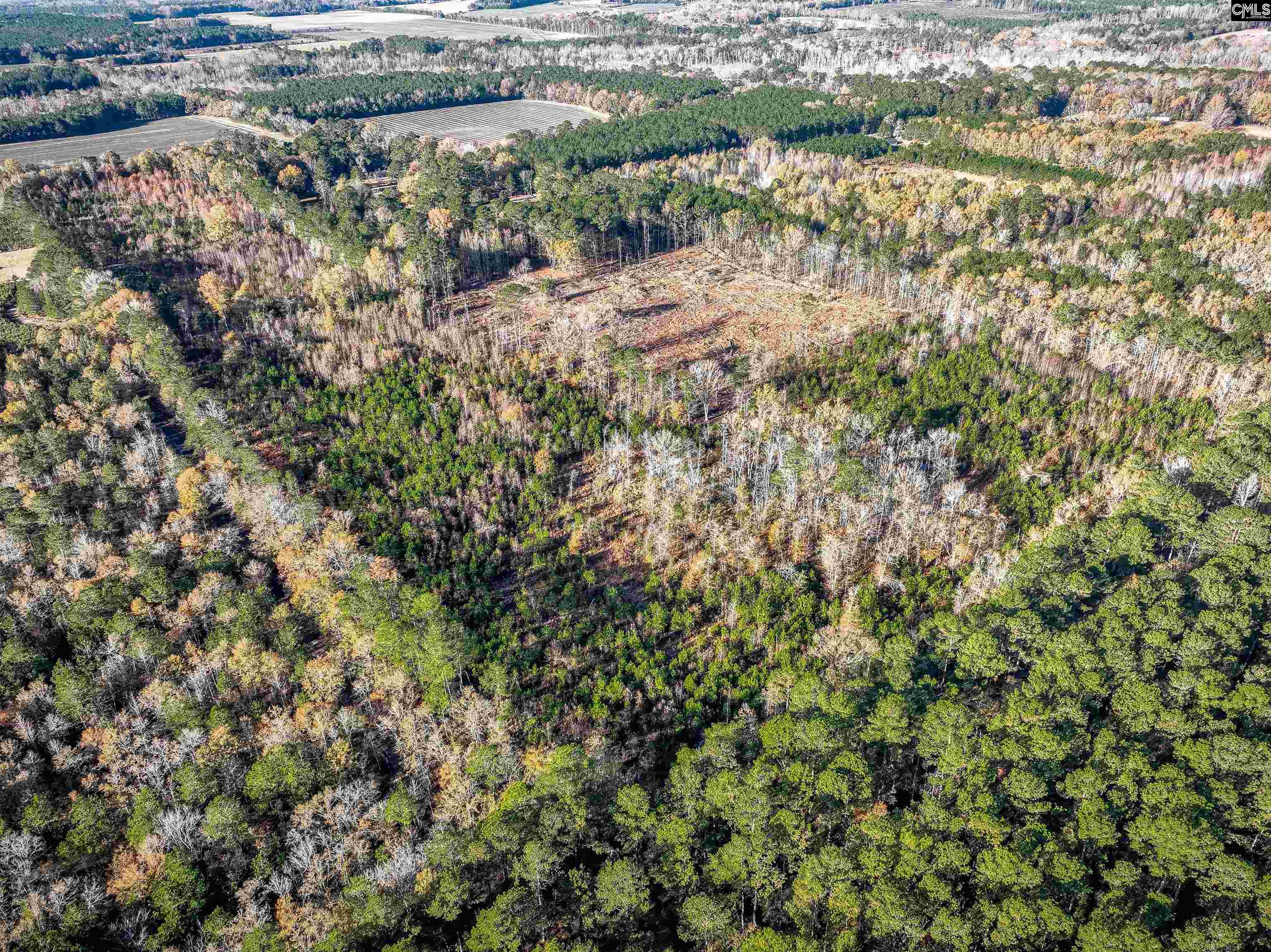 Cooter Road, Orangeburg, South Carolina image 13