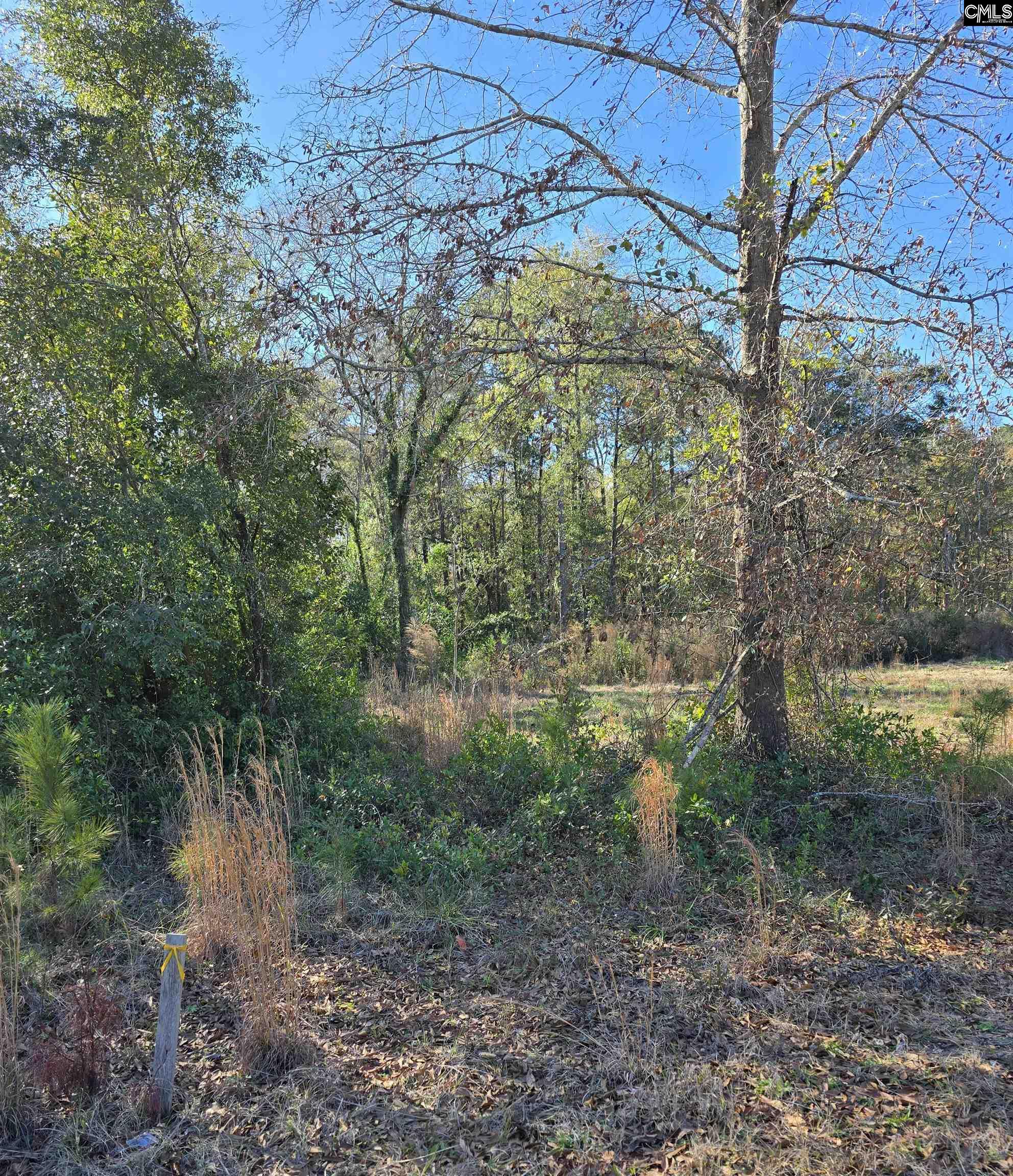 Popular Street UNIT #1 Cayce, SC 29033