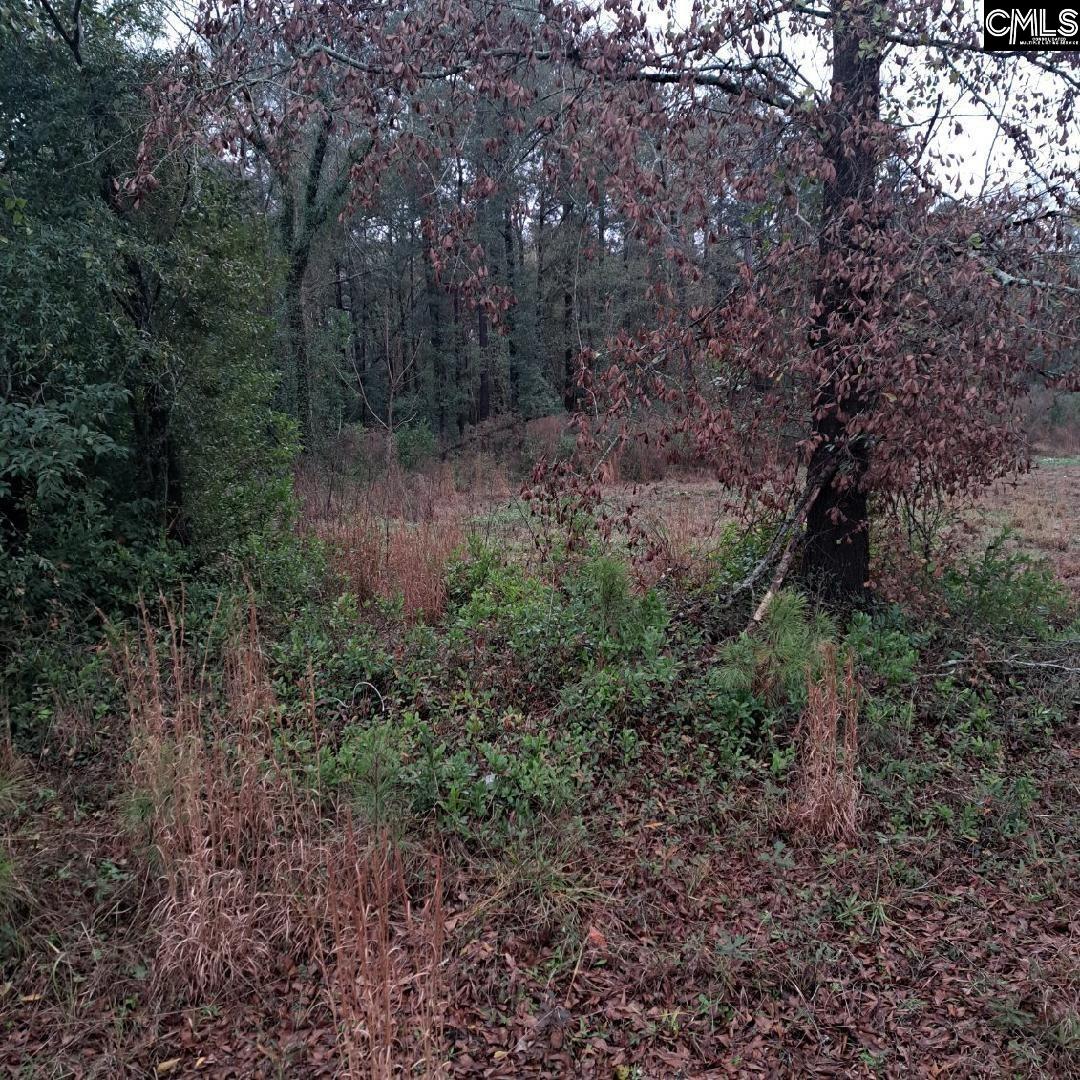 Popular Street UNIT #1 Cayce, SC 29033