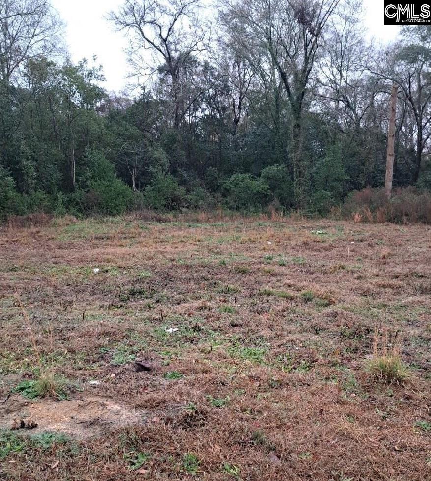 Popular Street UNIT #1 Cayce, SC 29033