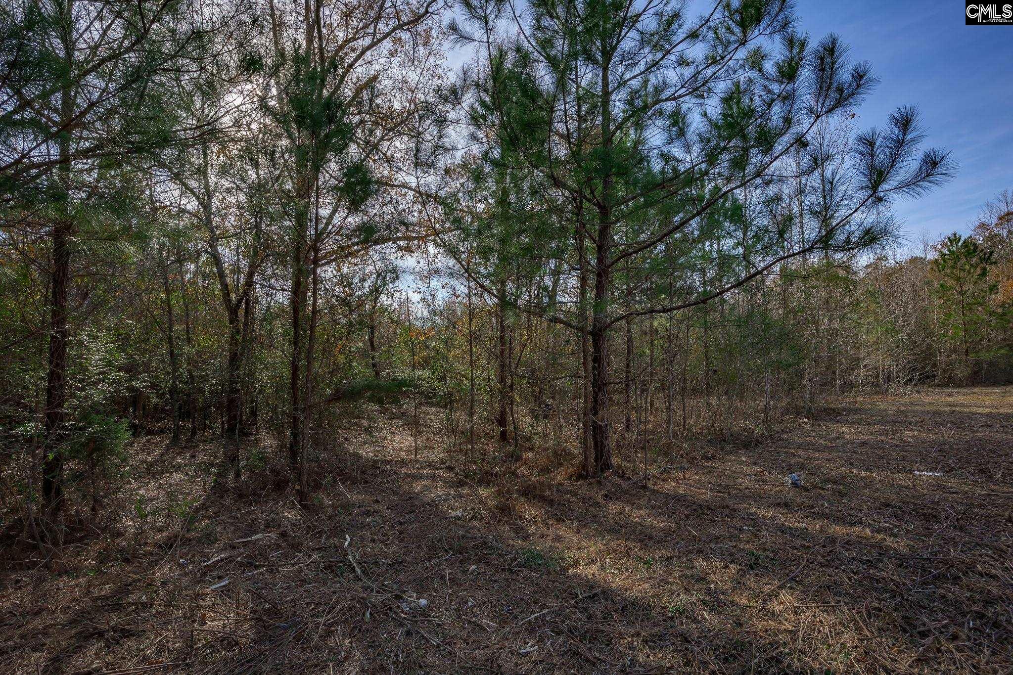230 Placid Circle, Batesburg, South Carolina image 29
