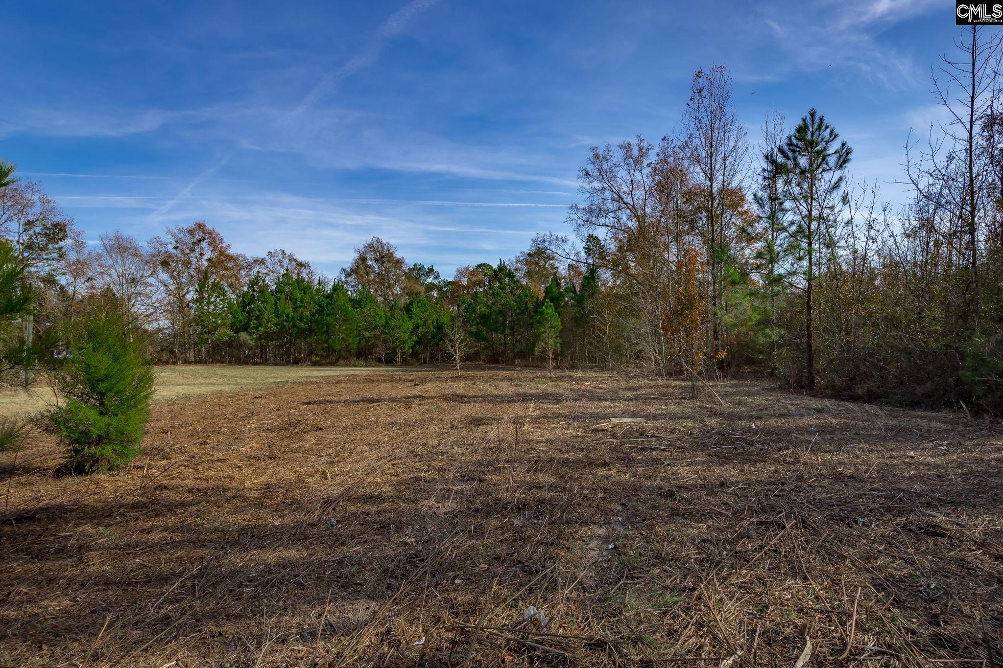230 Placid Circle, Batesburg, South Carolina image 33