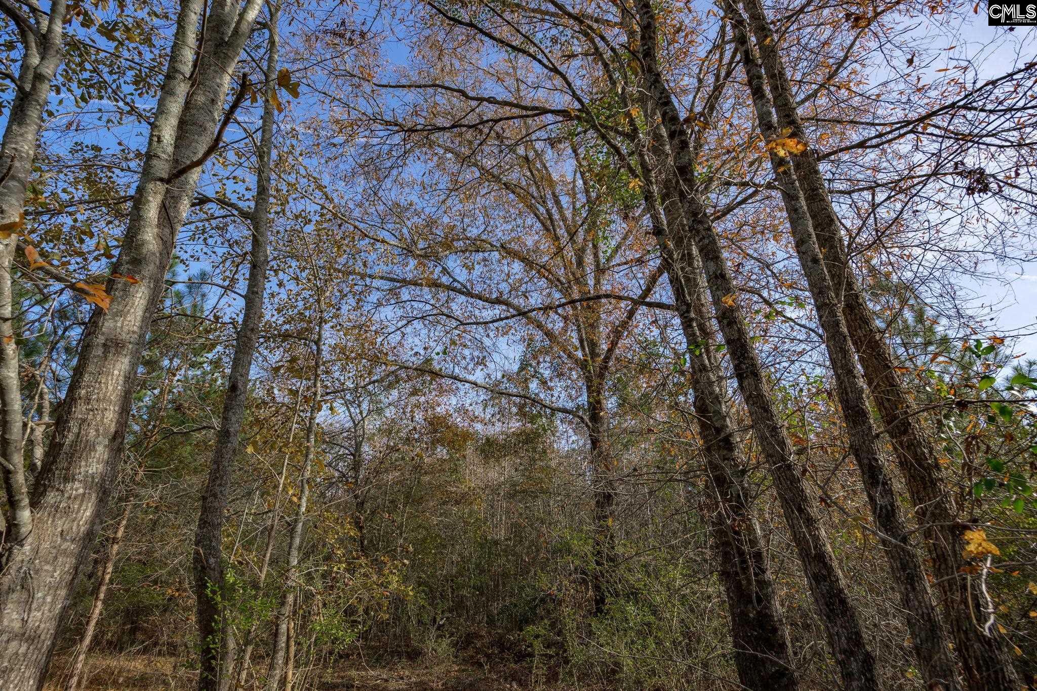 230 Placid Circle, Batesburg, South Carolina image 37
