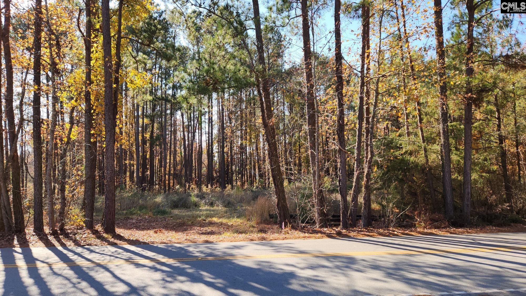 Old Cherokee Road Unit Lot #3 Lexington, SC 29072