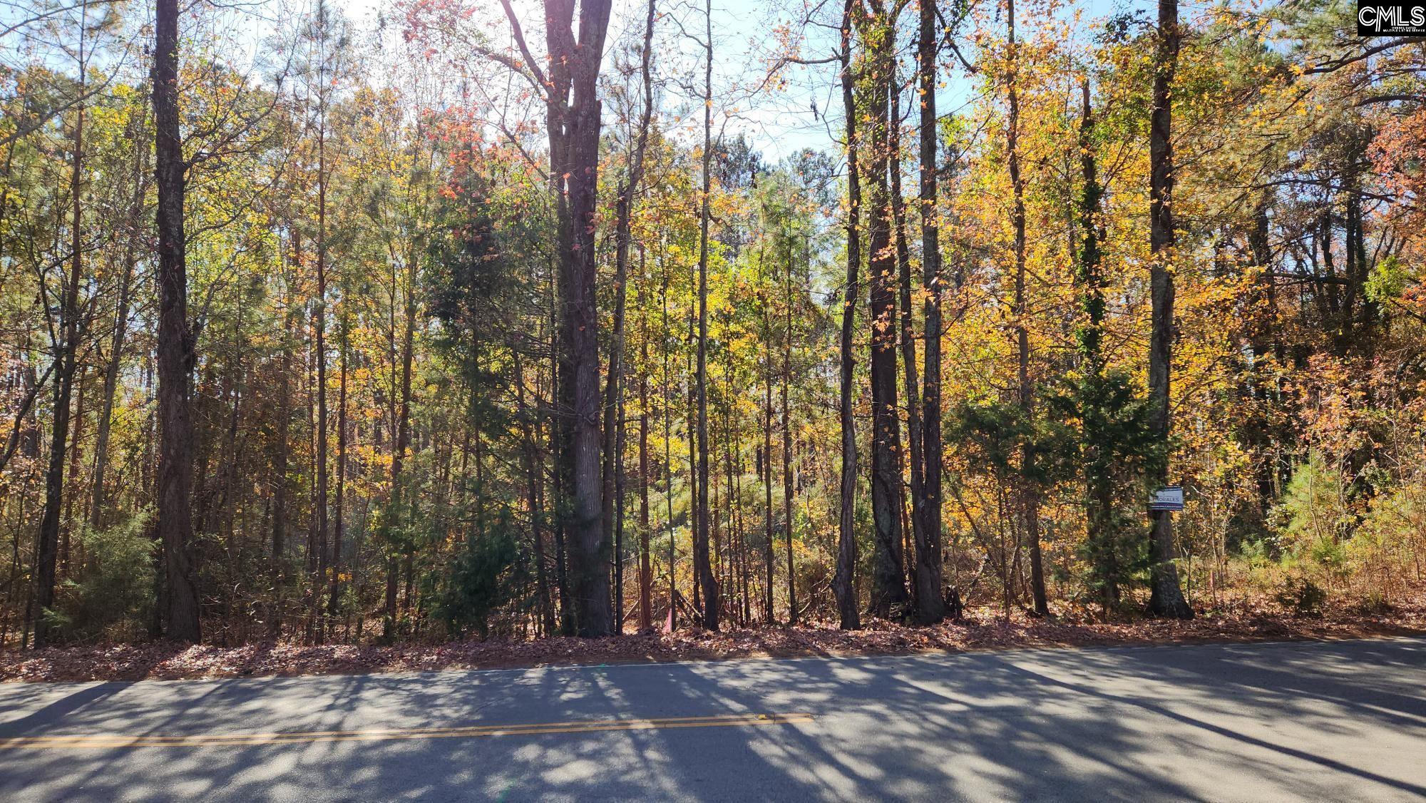 Old Cherokee Road Unit Lot #4 Lexington, SC 29072