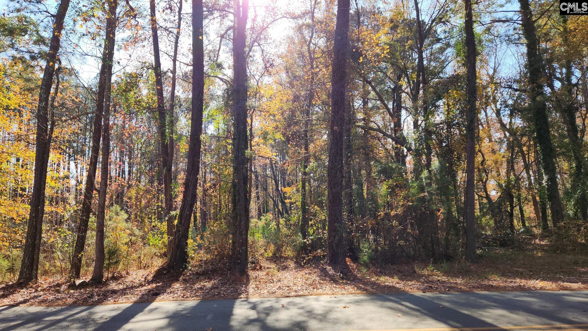Old Cherokee Road Unit Lot #5 Lexington, SC 29072