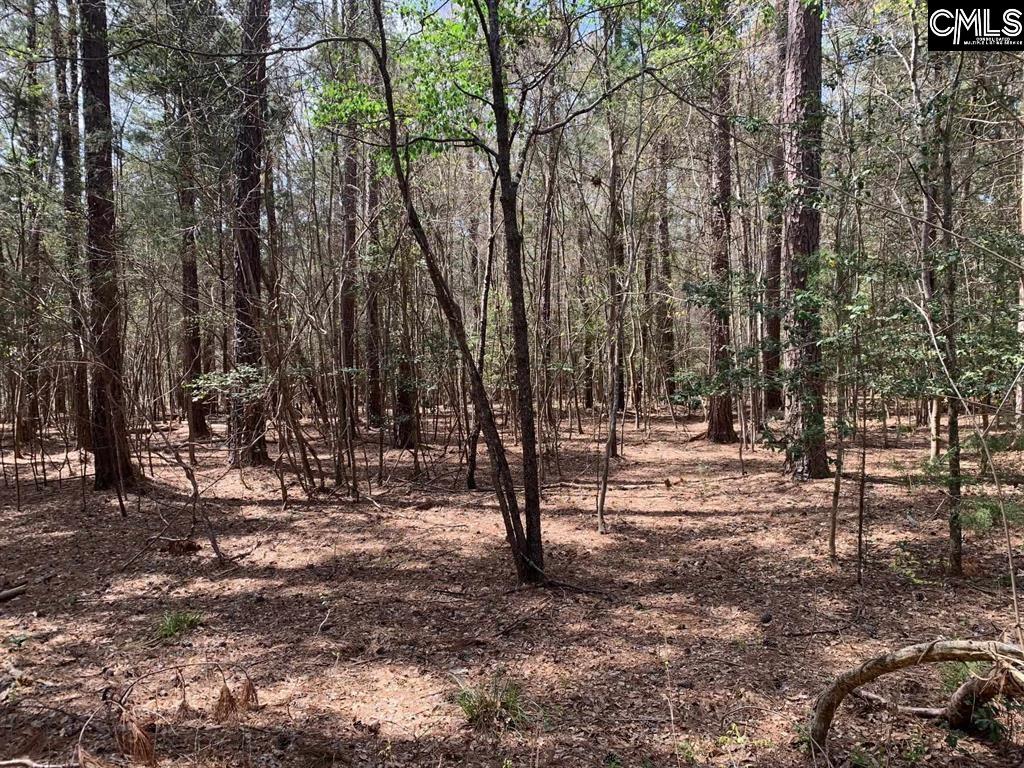 0 TBD PARC Eleazer Road Irmo, SC 29063