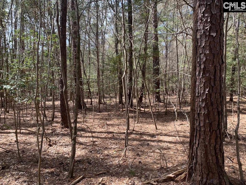 0 TBD PARC Eleazer Road Irmo, SC 29063