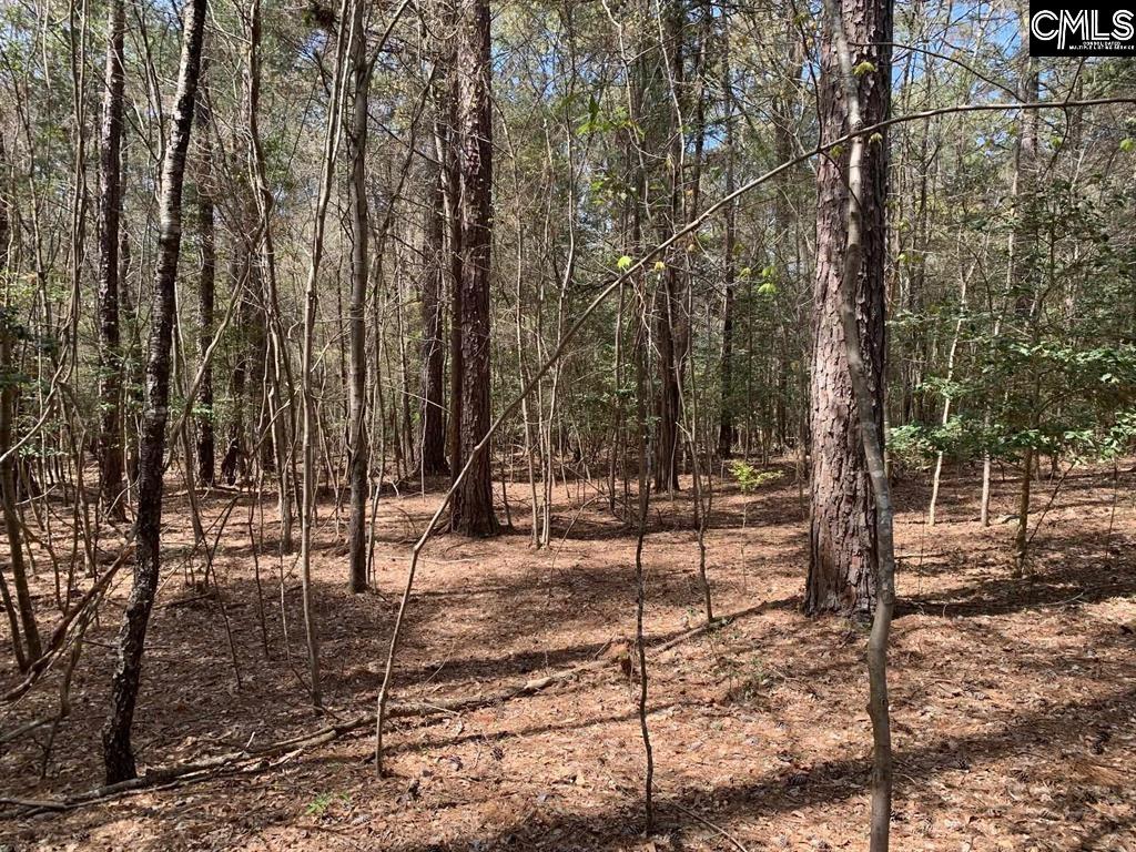 0 TBD PARC Eleazer Road Irmo, SC 29063