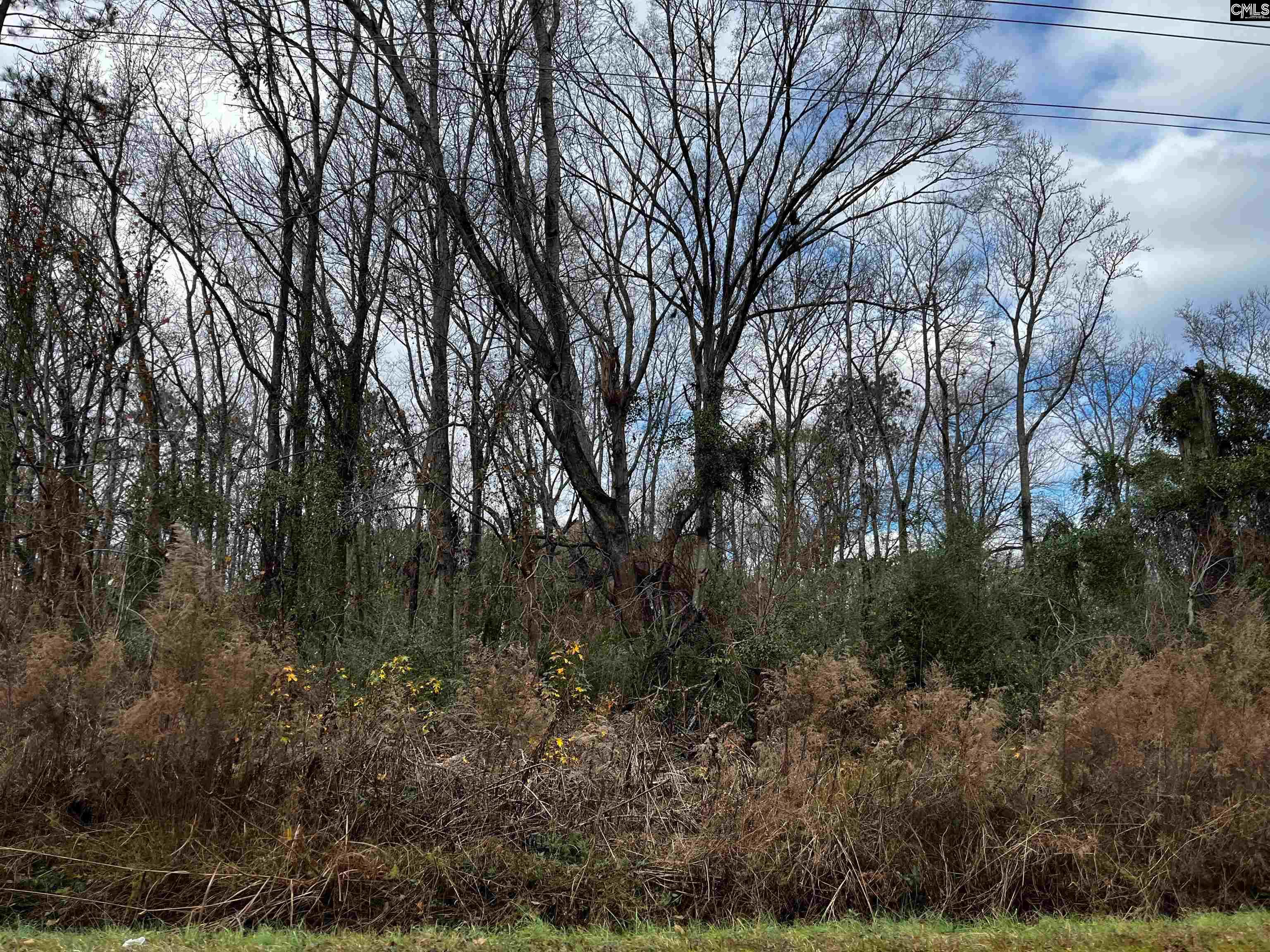 1113 Cherokee Boulevard, Elgin, South Carolina image 1