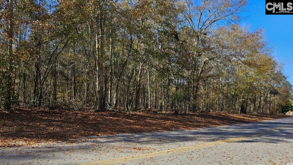 275 Twin Lakes Road, NEESES, South Carolina image 2