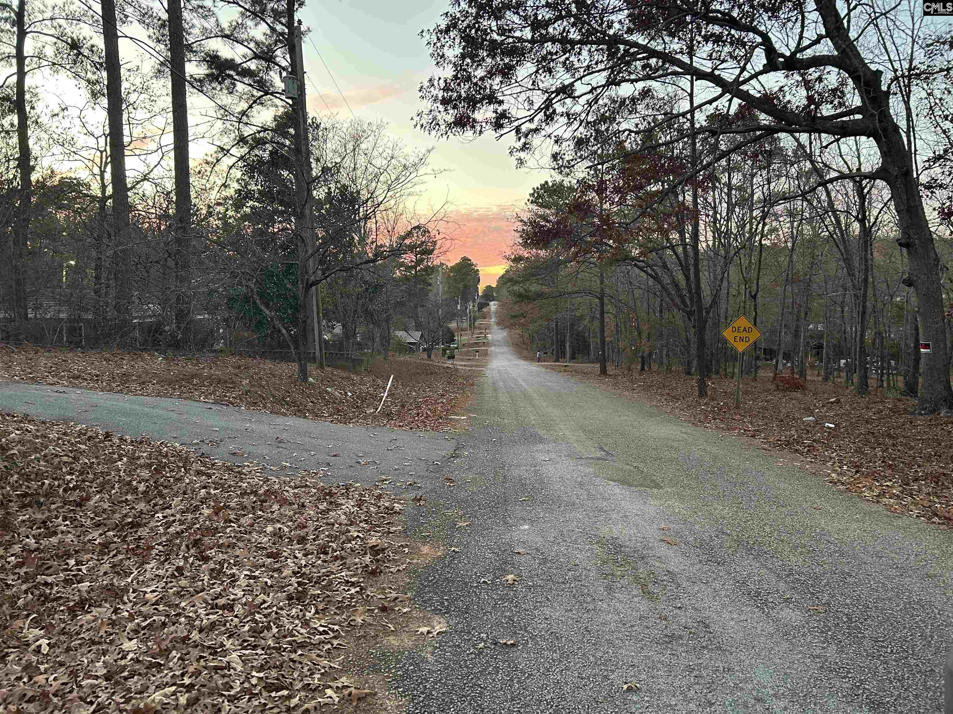 1001 Lincoln Park Dr, Eastover, South Carolina image 2