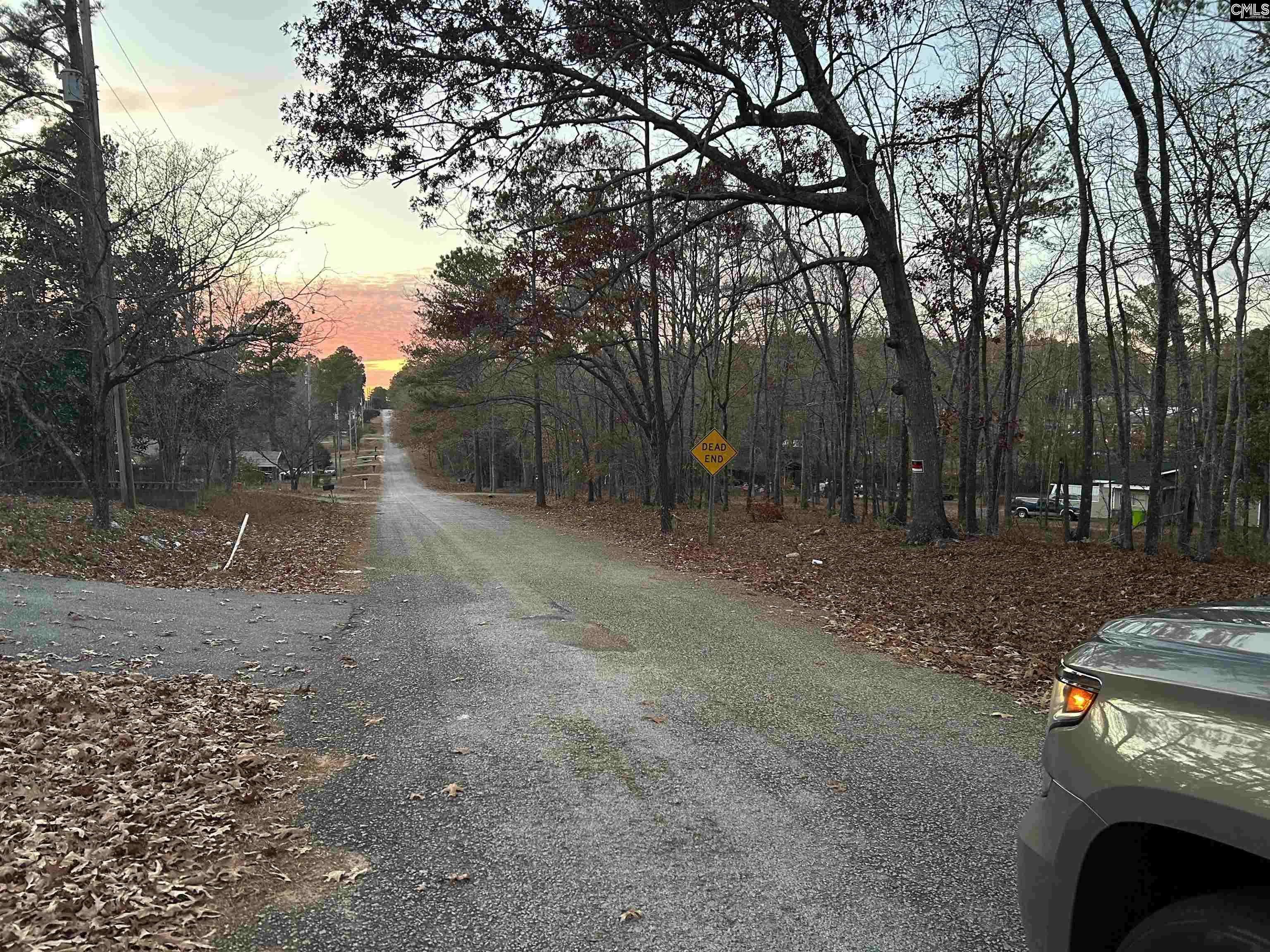 1001 Lincoln Park Dr, Eastover, South Carolina image 4
