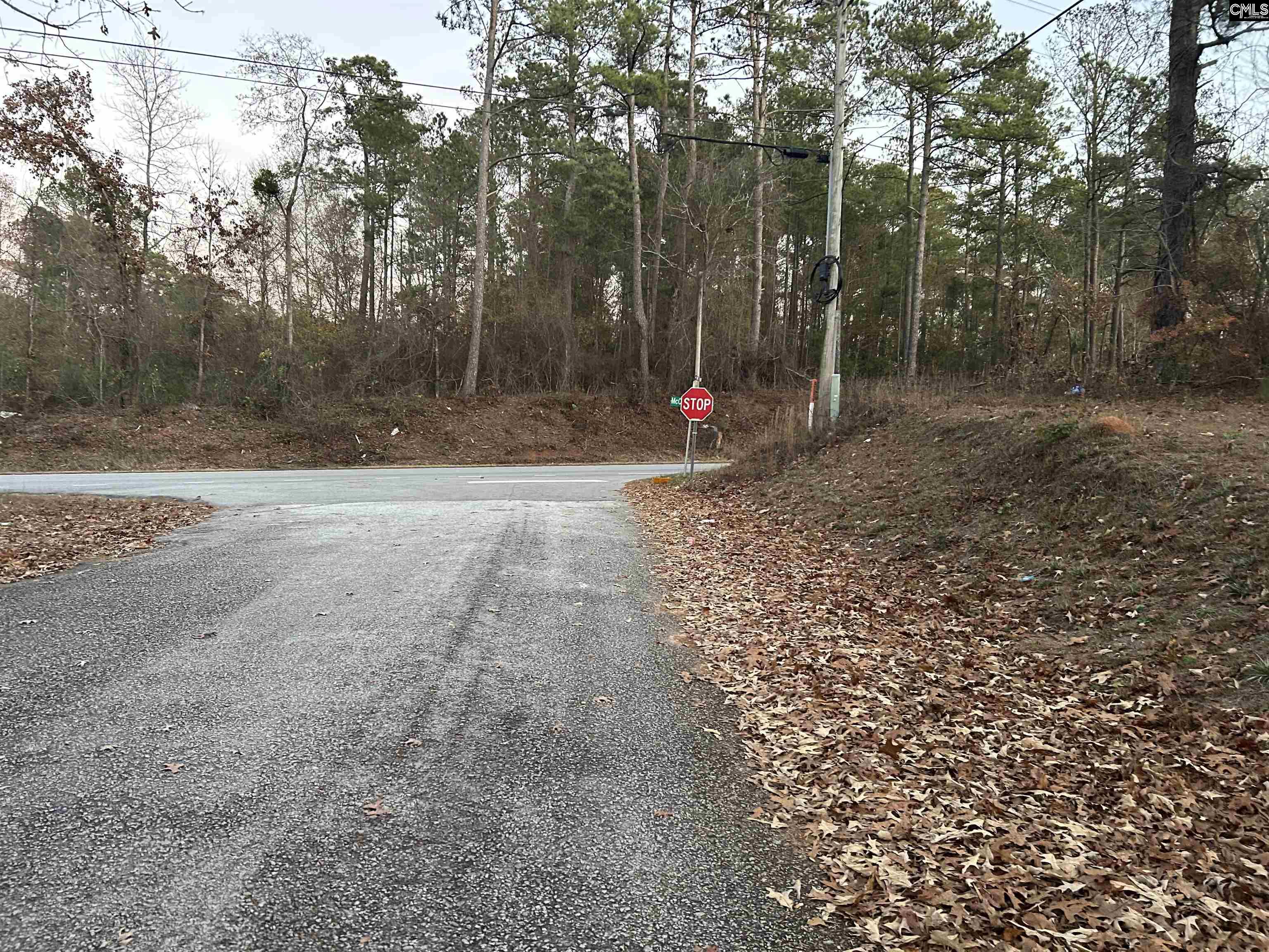 1001 Lincoln Park Dr, Eastover, South Carolina image 8