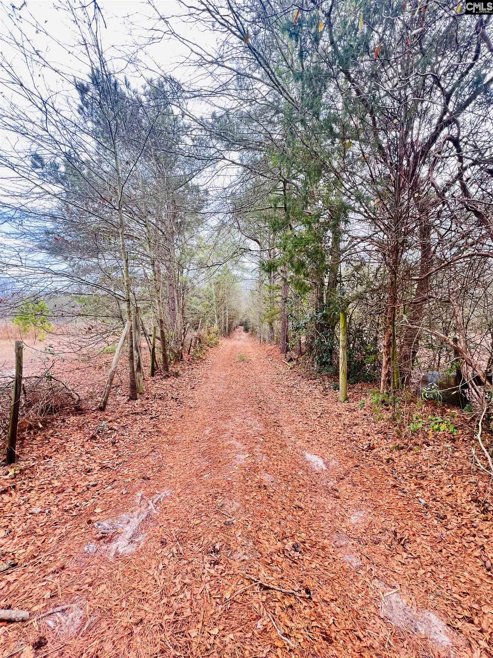 Hanahan Lane Leesville, SC 29070
