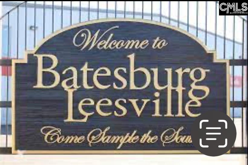 Hanahan Lane Leesville, SC 29070