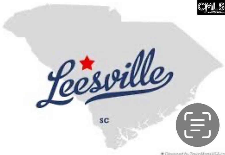 Hanahan Lane Leesville, SC 29070