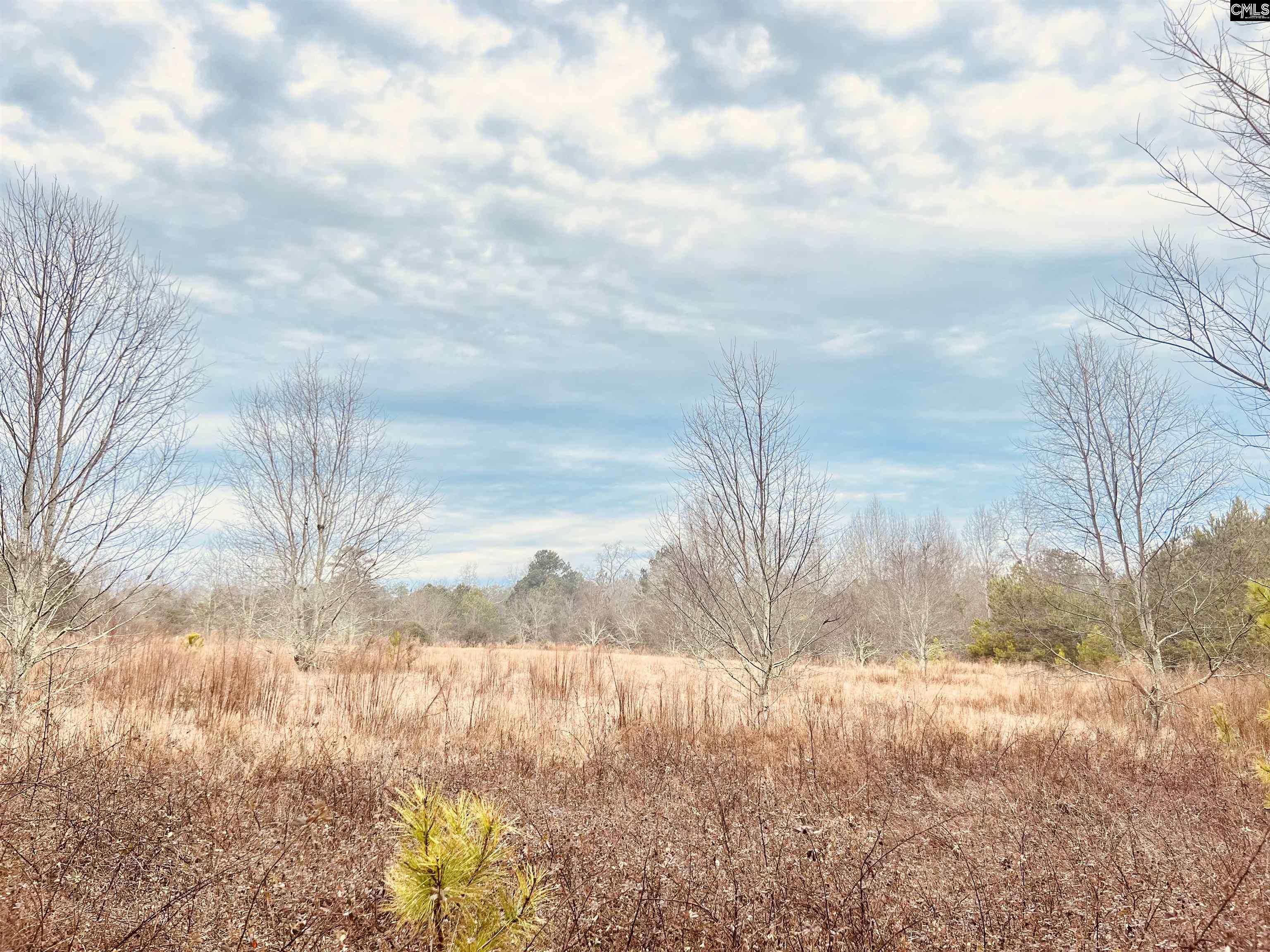 Hanahan Lane Leesville, SC 29070
