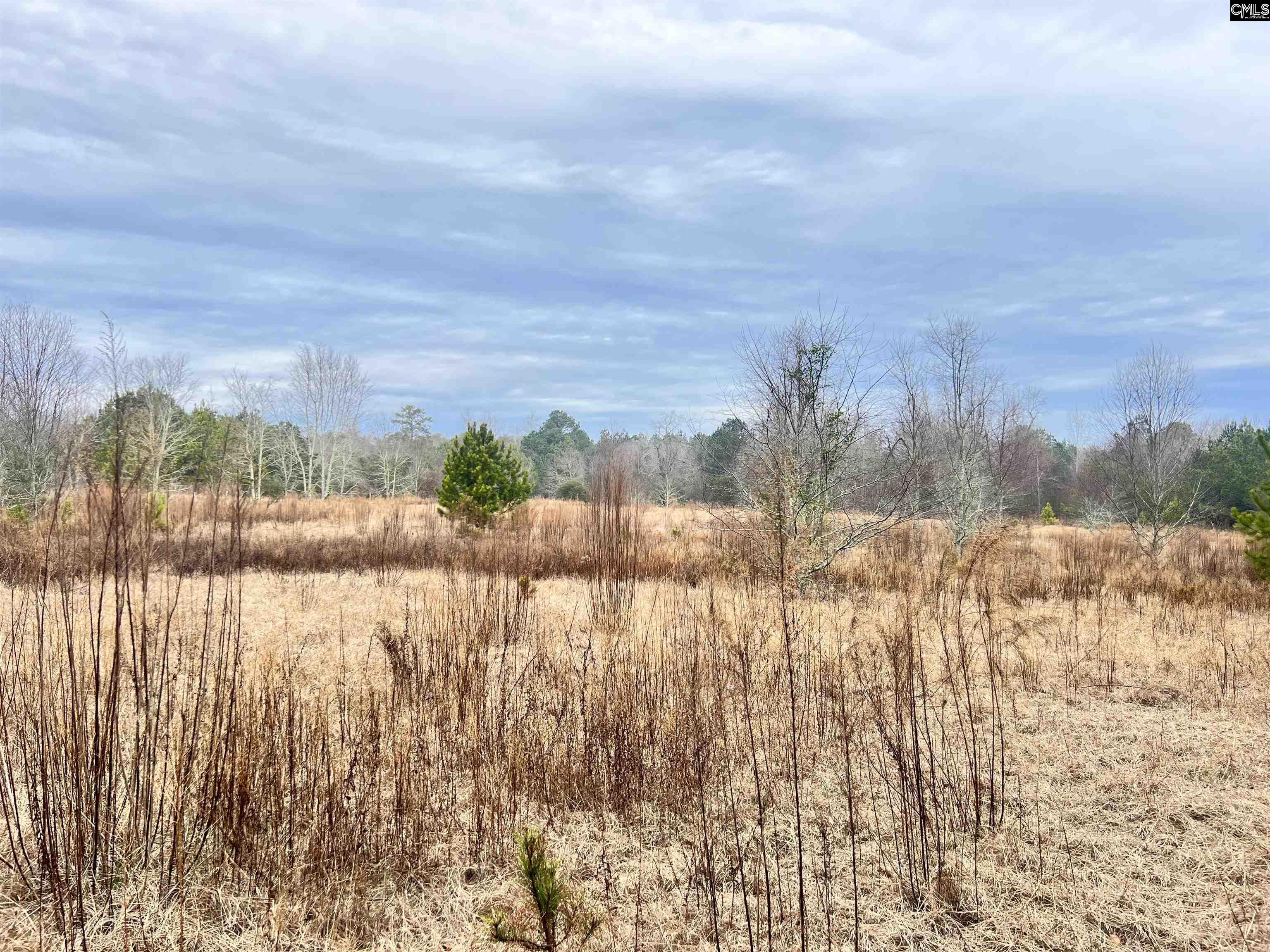 Hanahan Lane Leesville, SC 29070