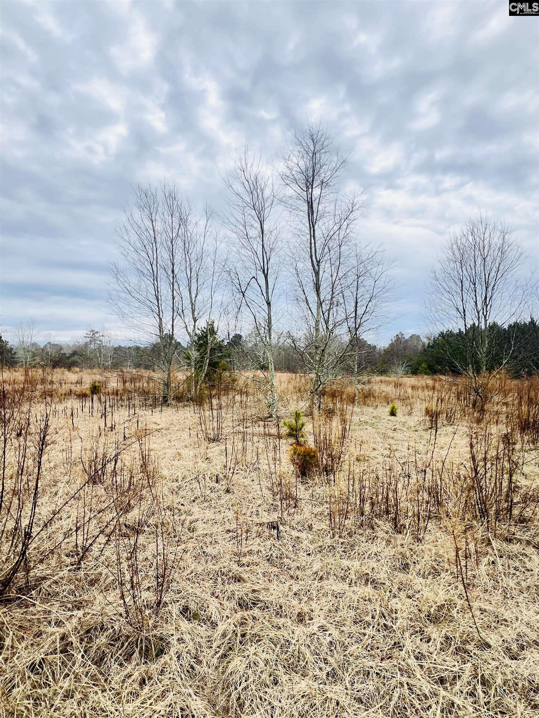 Hanahan Lane Leesville, SC 29070