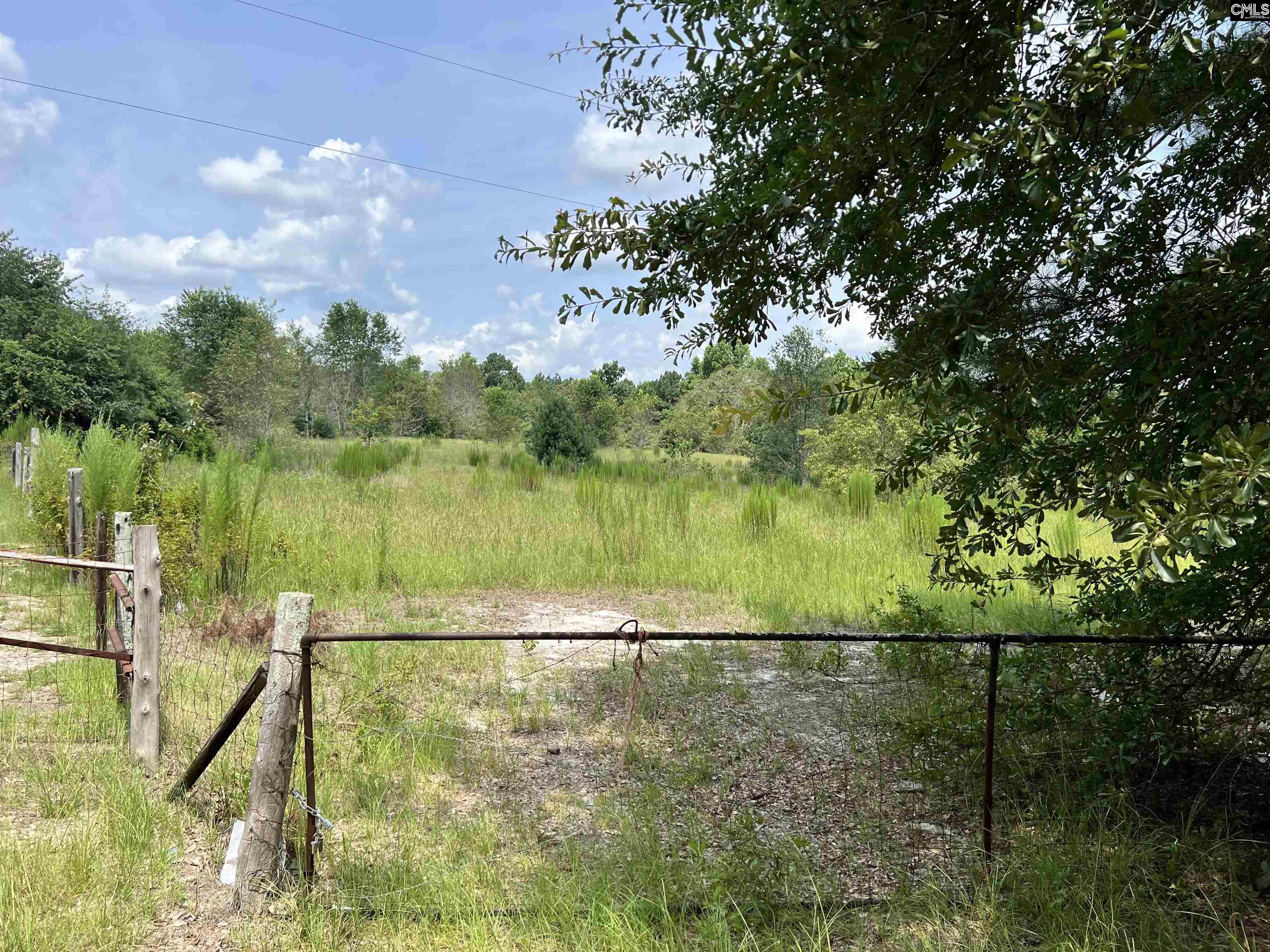 Hanahan Lane Leesville, SC 29070