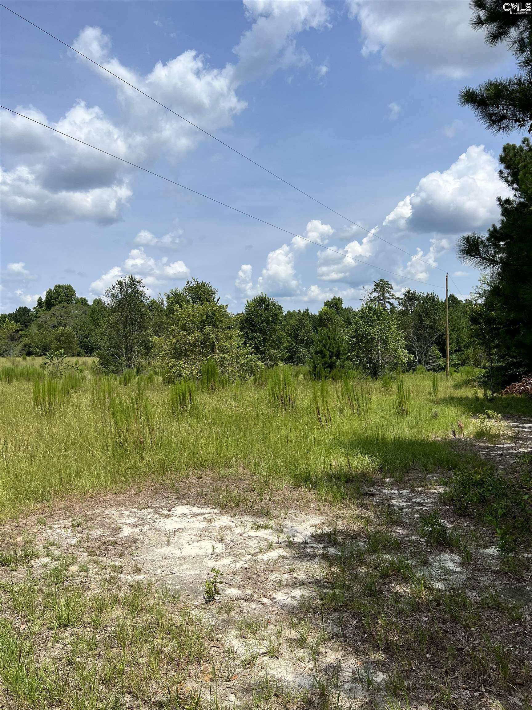 Hanahan Lane Leesville, SC 29070