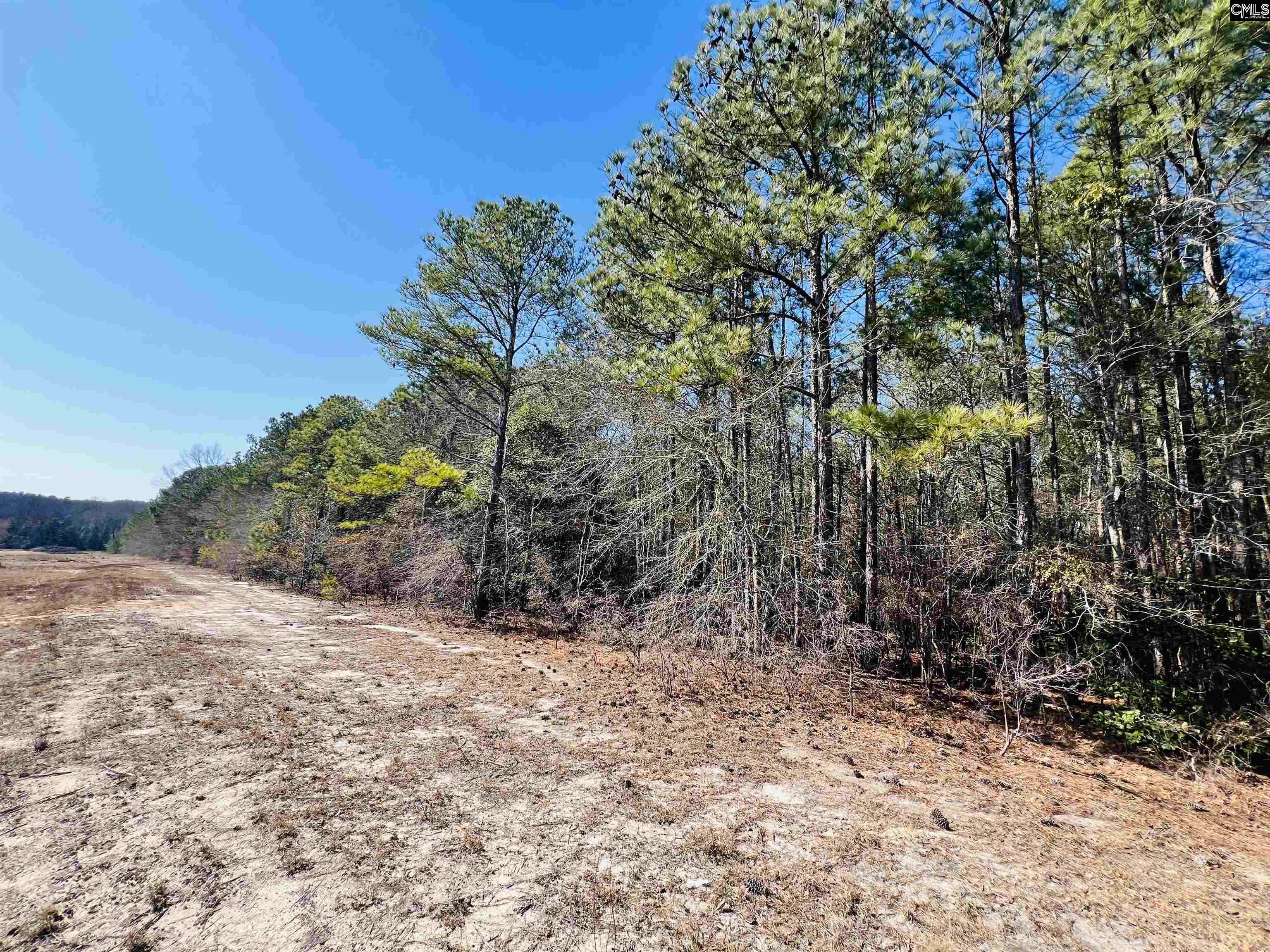 Pond Branch Road Leesville, SC 29070