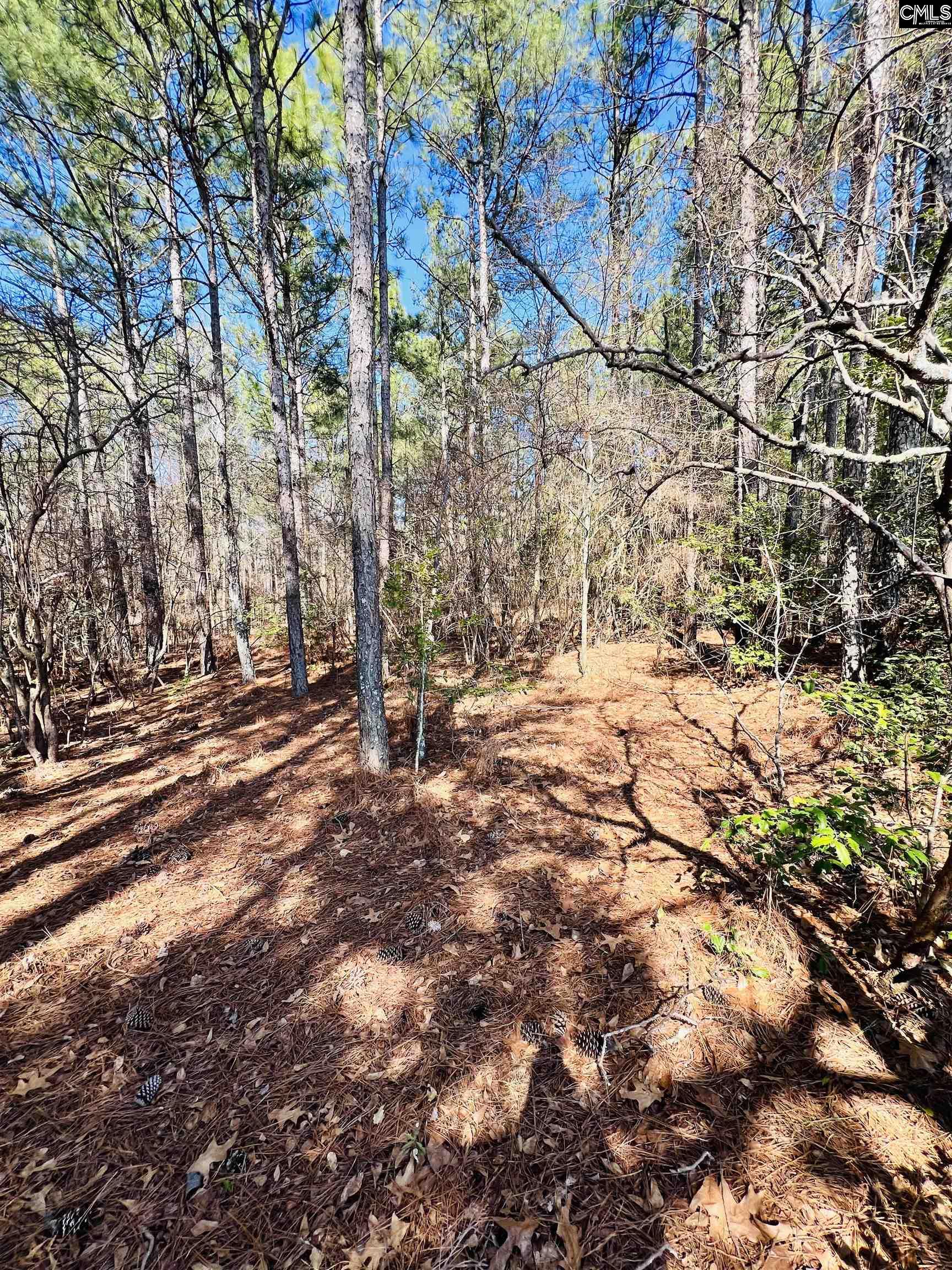 Pond Branch Road, Leesville, South Carolina image 2