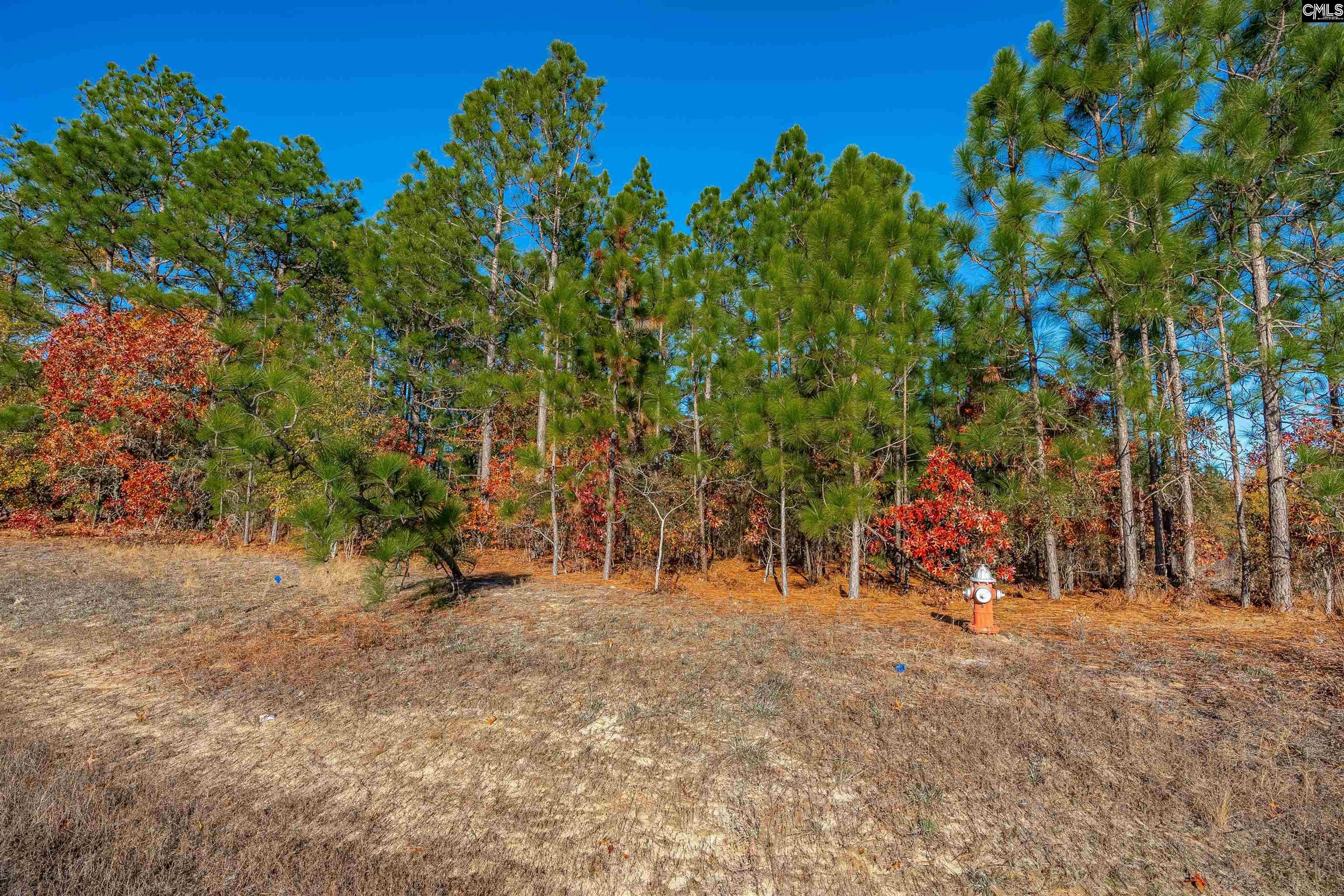 1168 Highway 1 South Lugoff, SC 29078