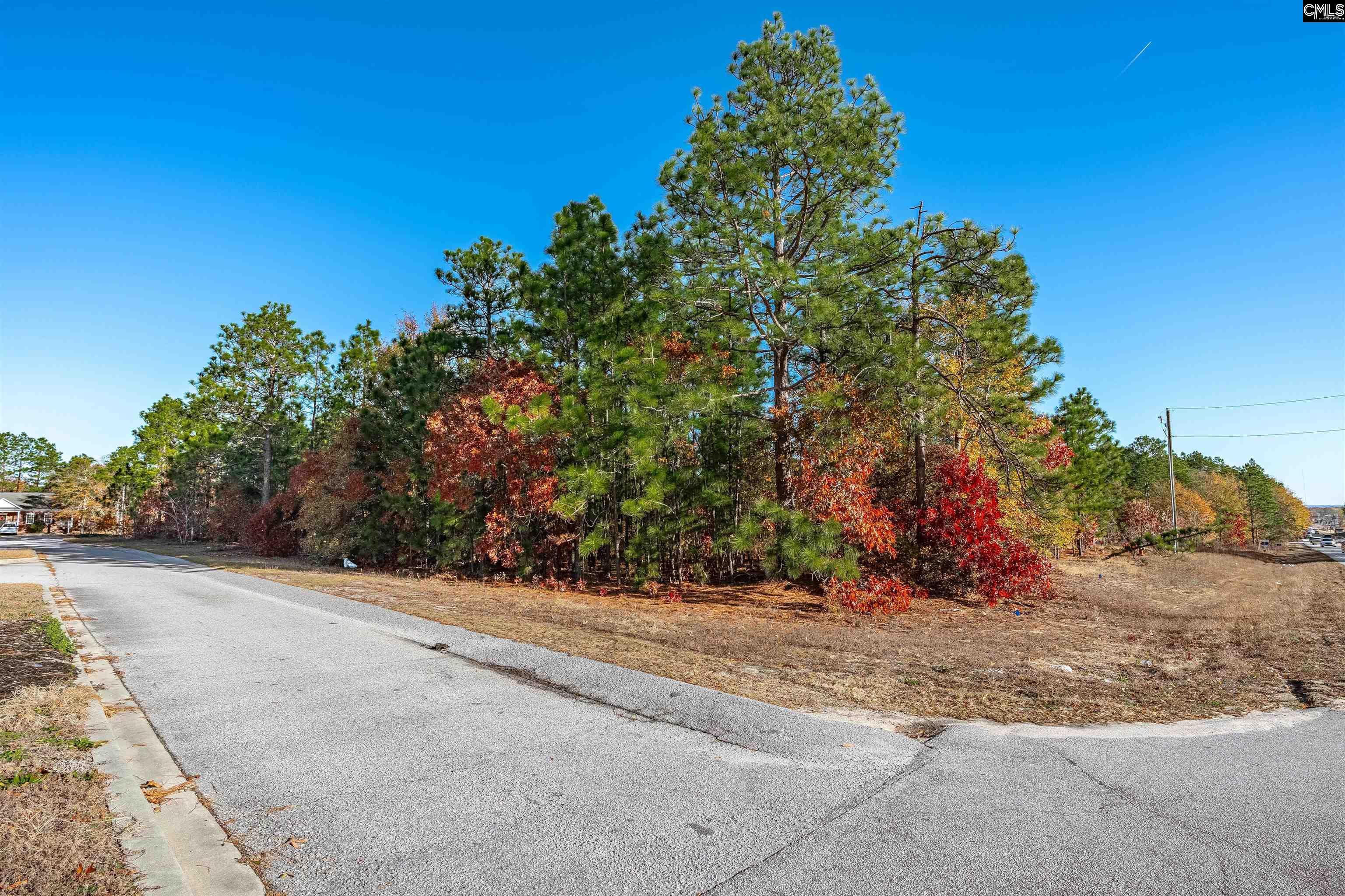 1168 Highway 1 South Lugoff, SC 29078