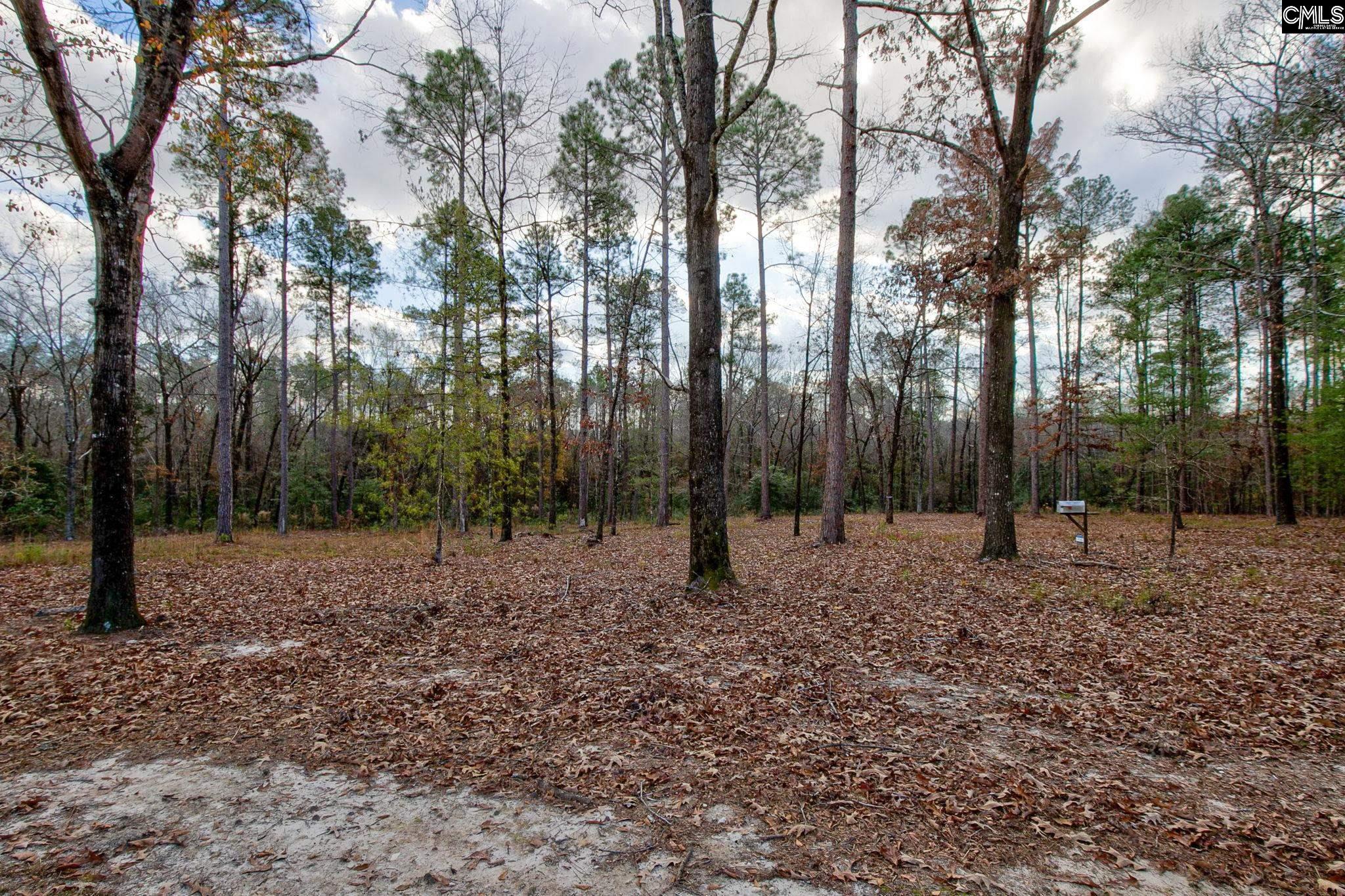 2935 Mcrae Road, Camden, South Carolina image 43