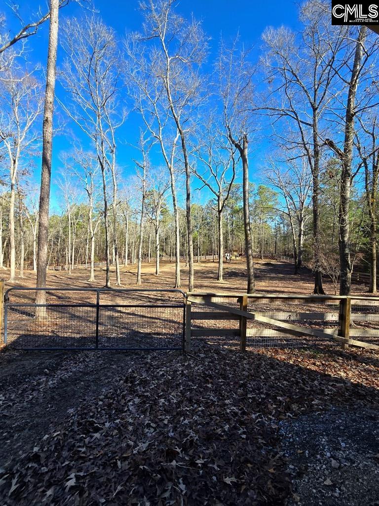 1040 Koon Rd Road, Irmo, South Carolina image 32