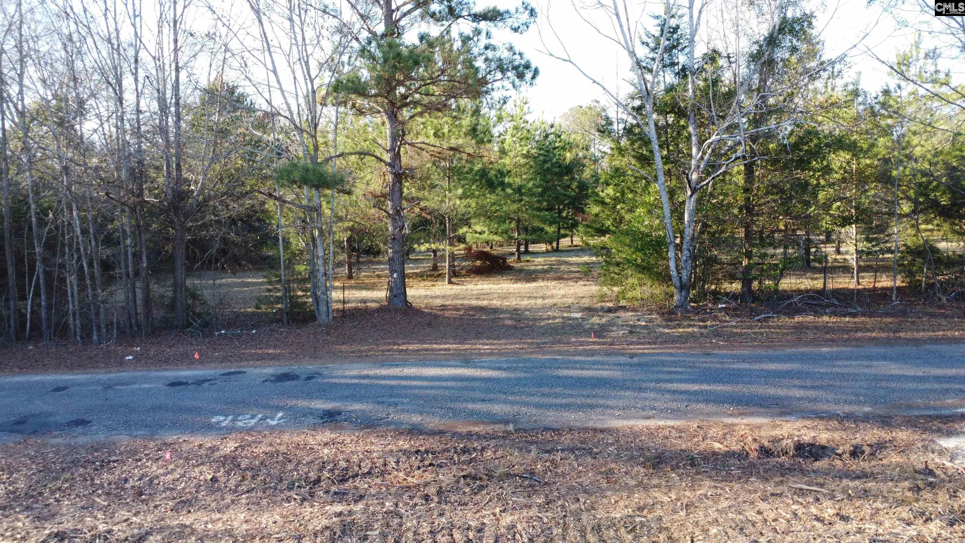 465 Ruby Street Batesburg, SC 29006
