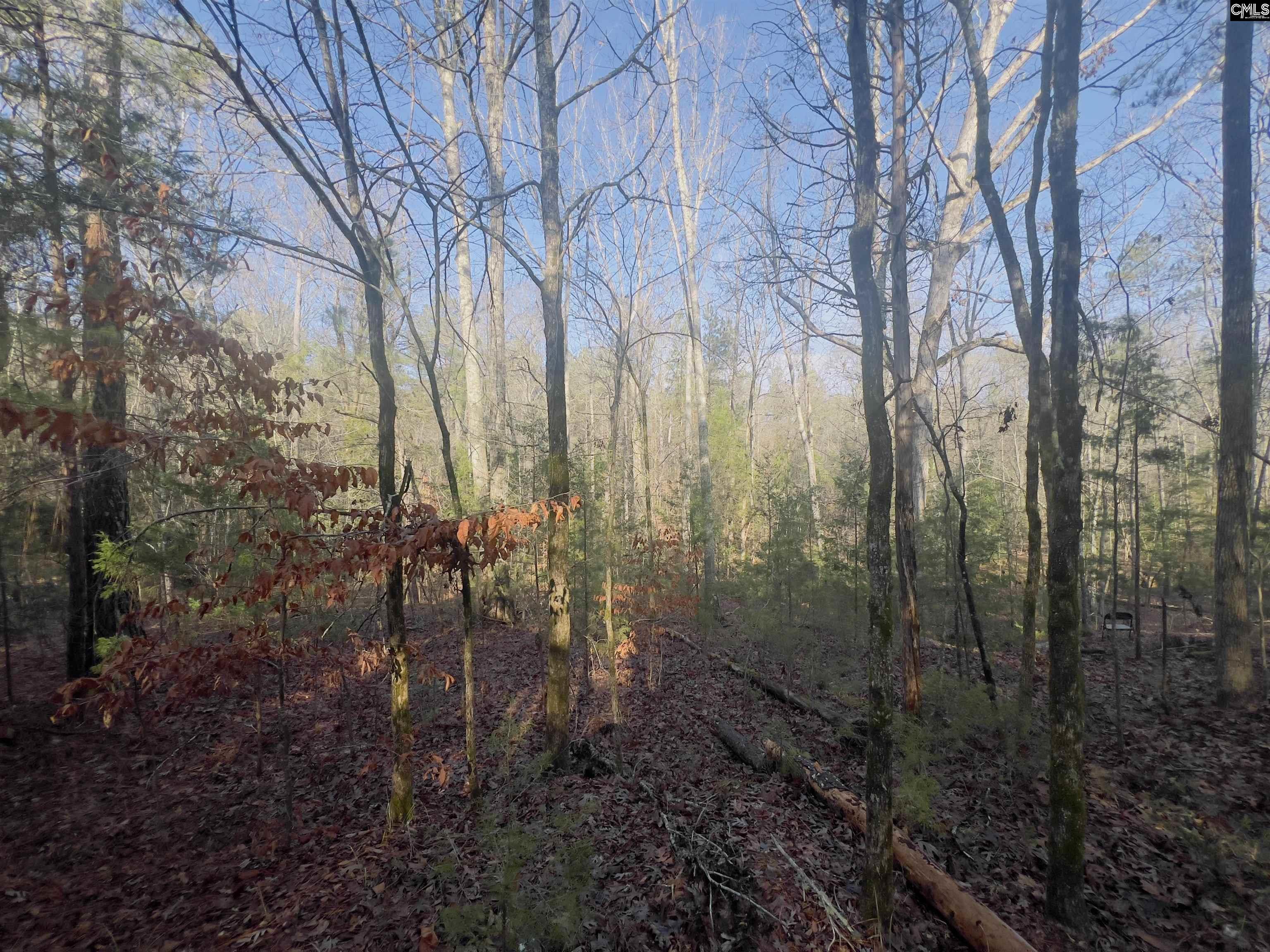 521 Mount Valley Road, Blythewood, South Carolina image 2