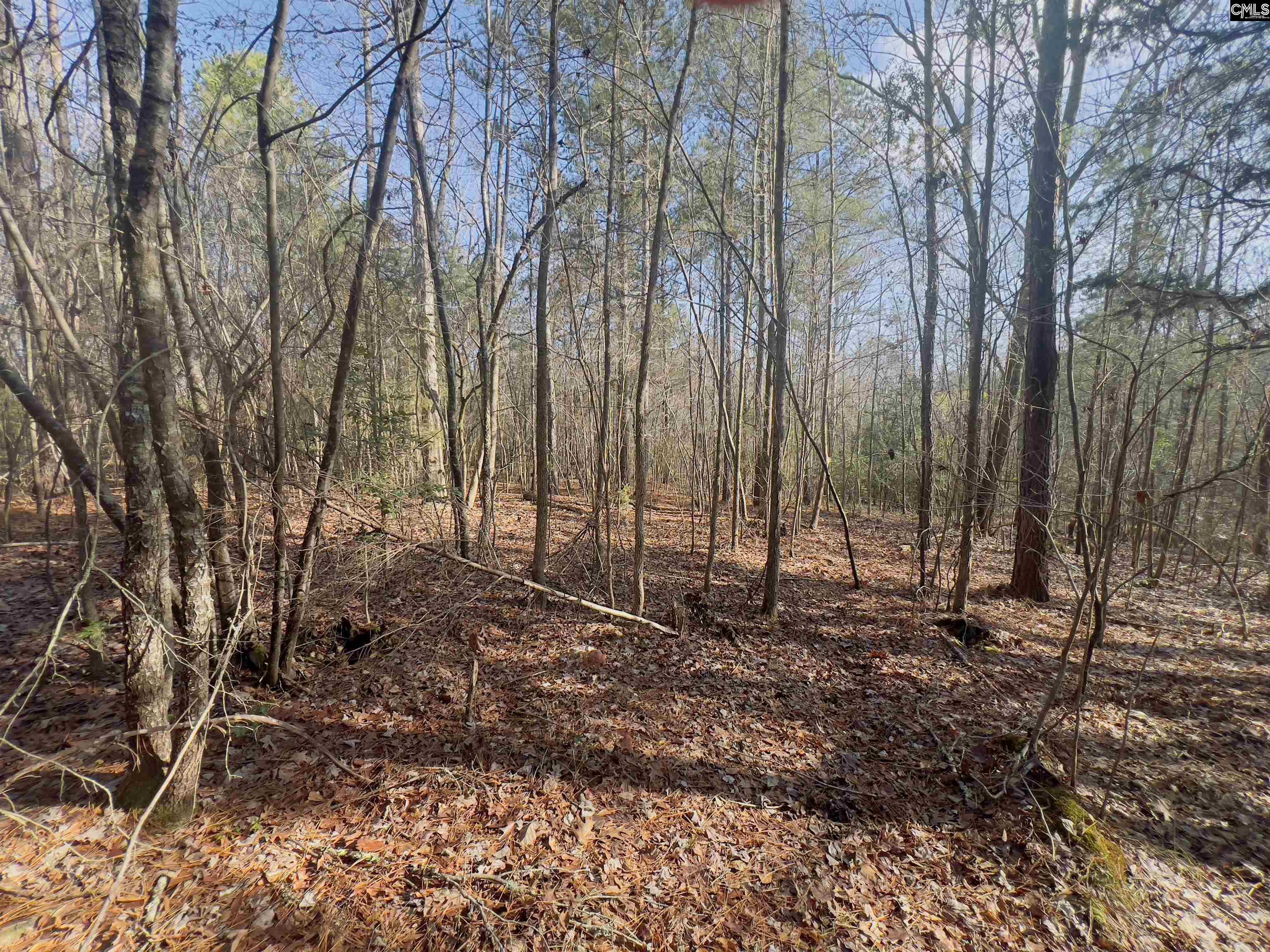521 Mount Valley Road, Blythewood, South Carolina image 6