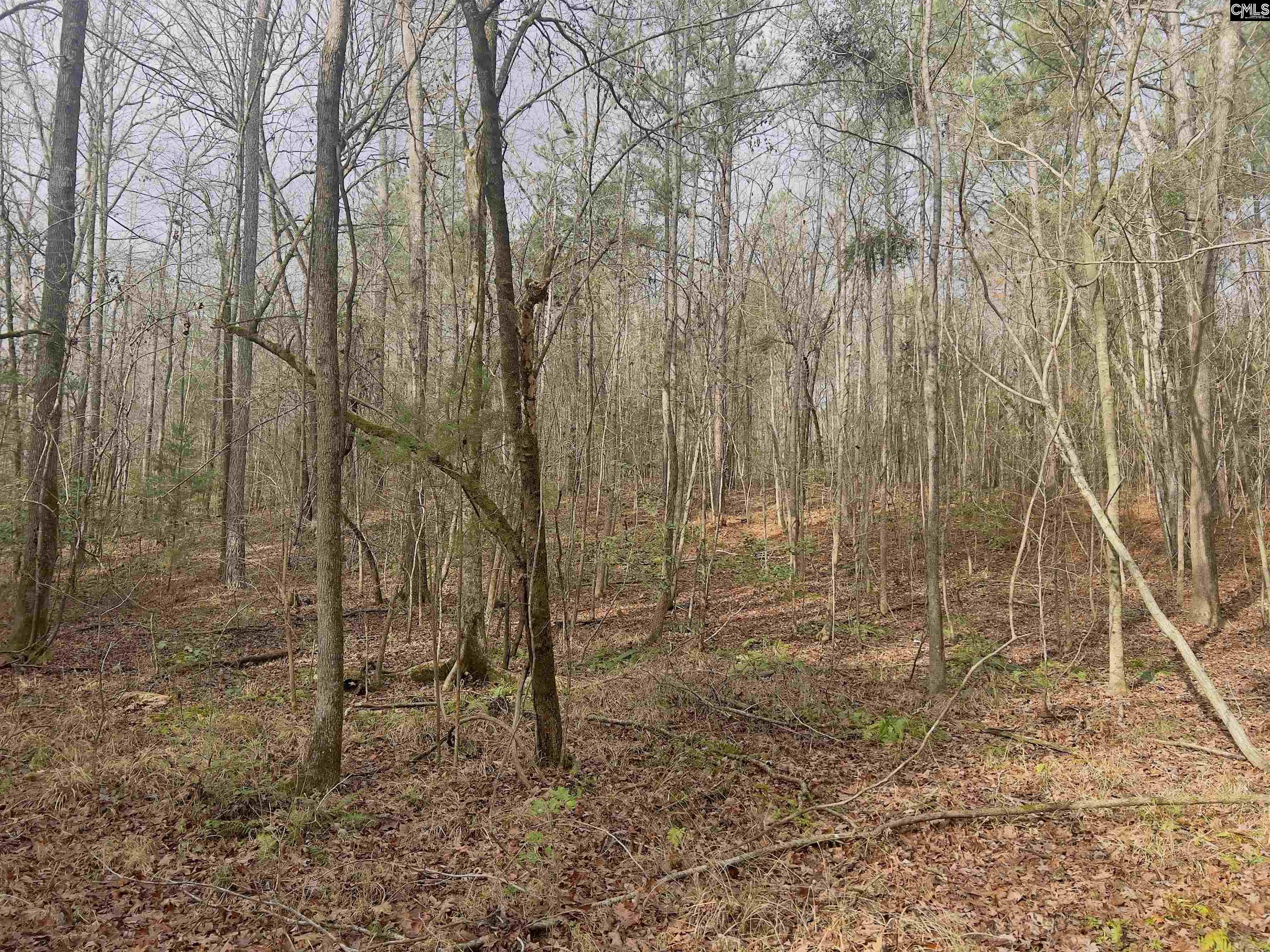 521 Mount Valley Road, Blythewood, South Carolina image 7