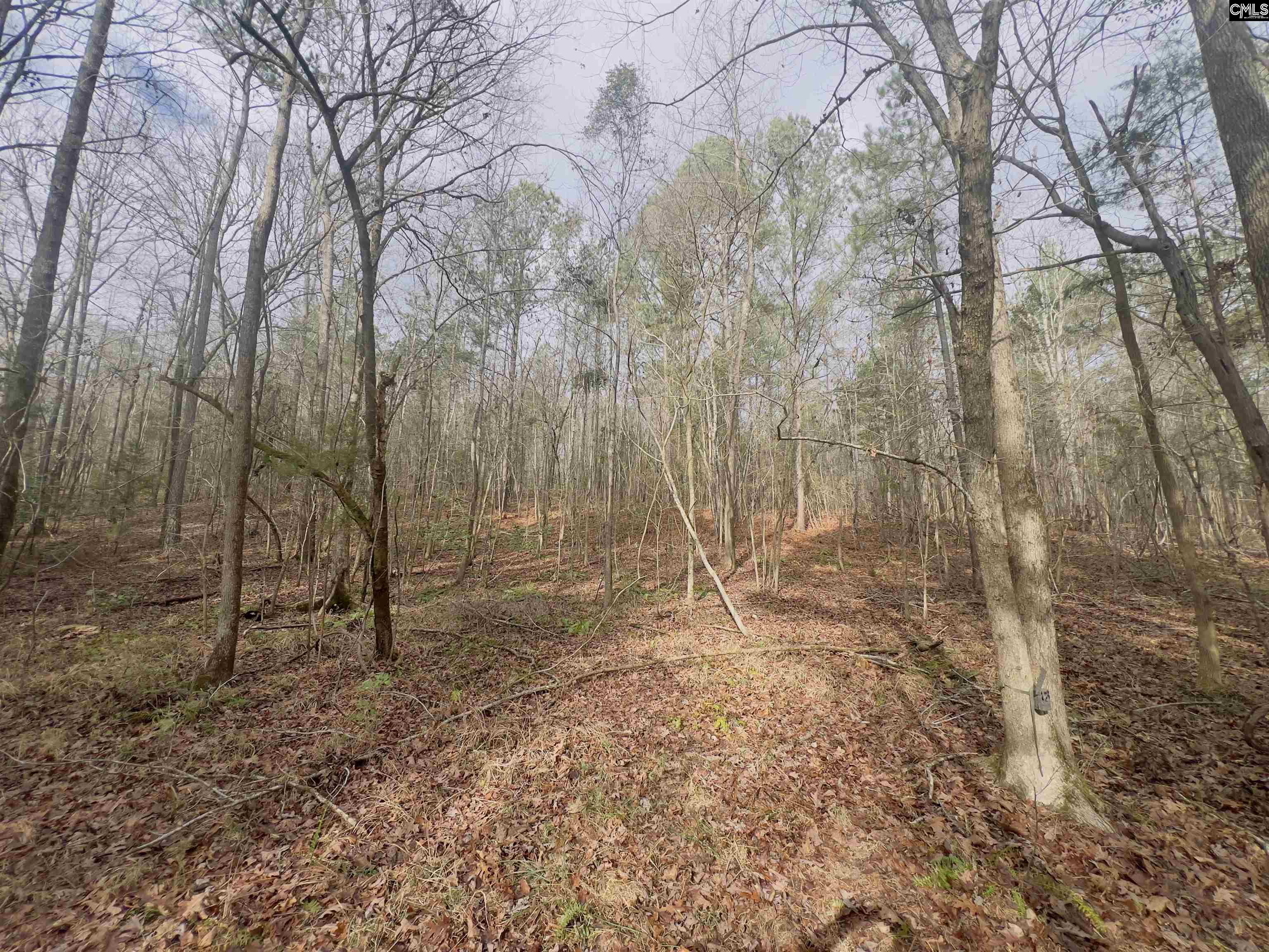 521 Mount Valley Road, Blythewood, South Carolina image 8