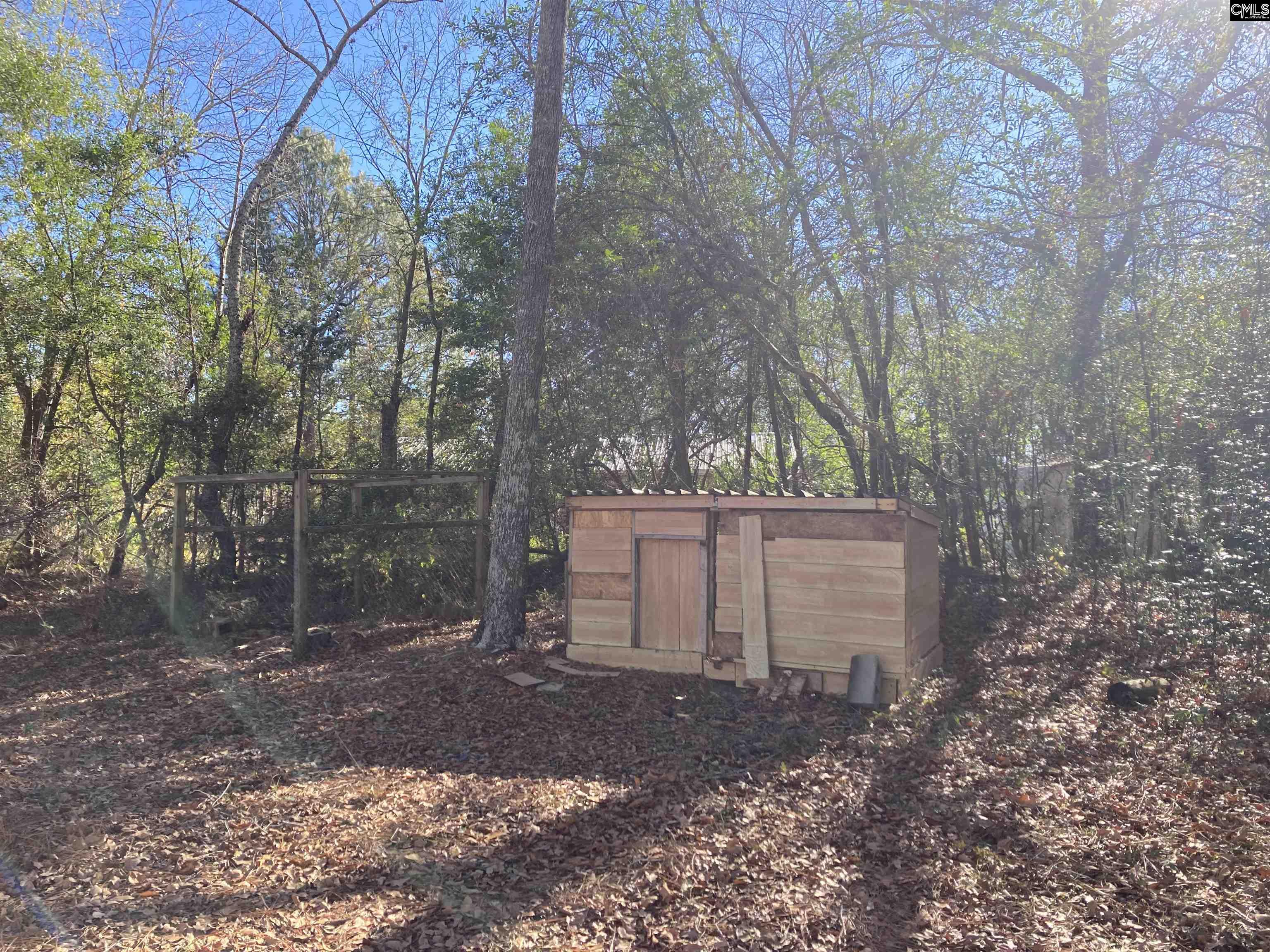 653 Wash Board Road, Pelion, South Carolina image 13