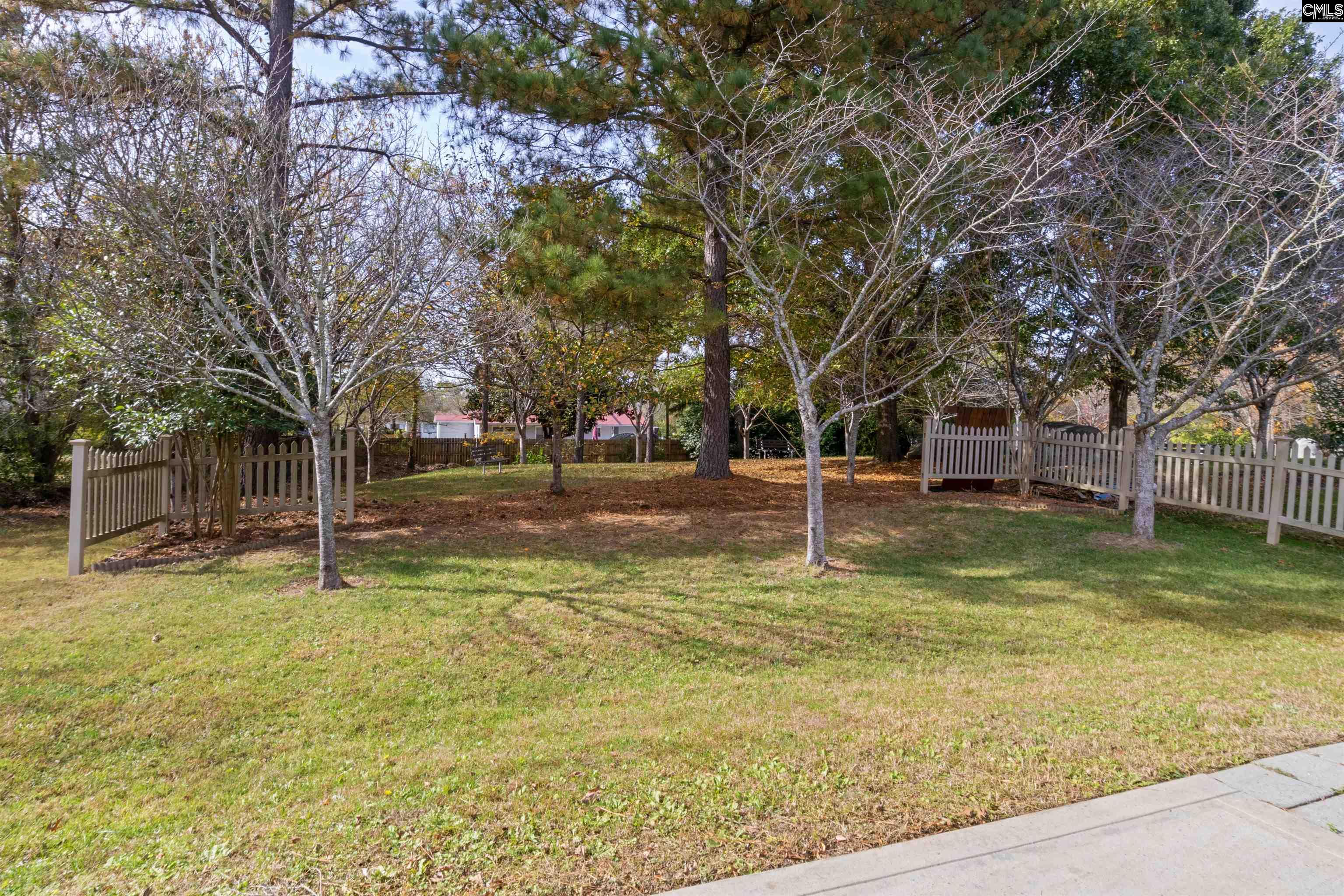 1541 Arborgate Drive, Rock Hill, South Carolina image 27