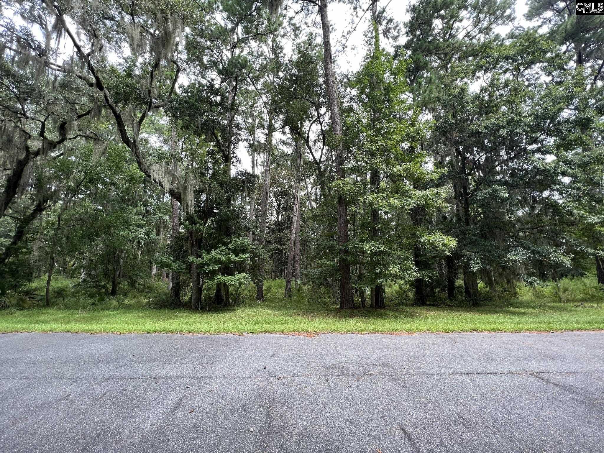 269 Oakridge Lane, Daufuskie Island, South Carolina image 1