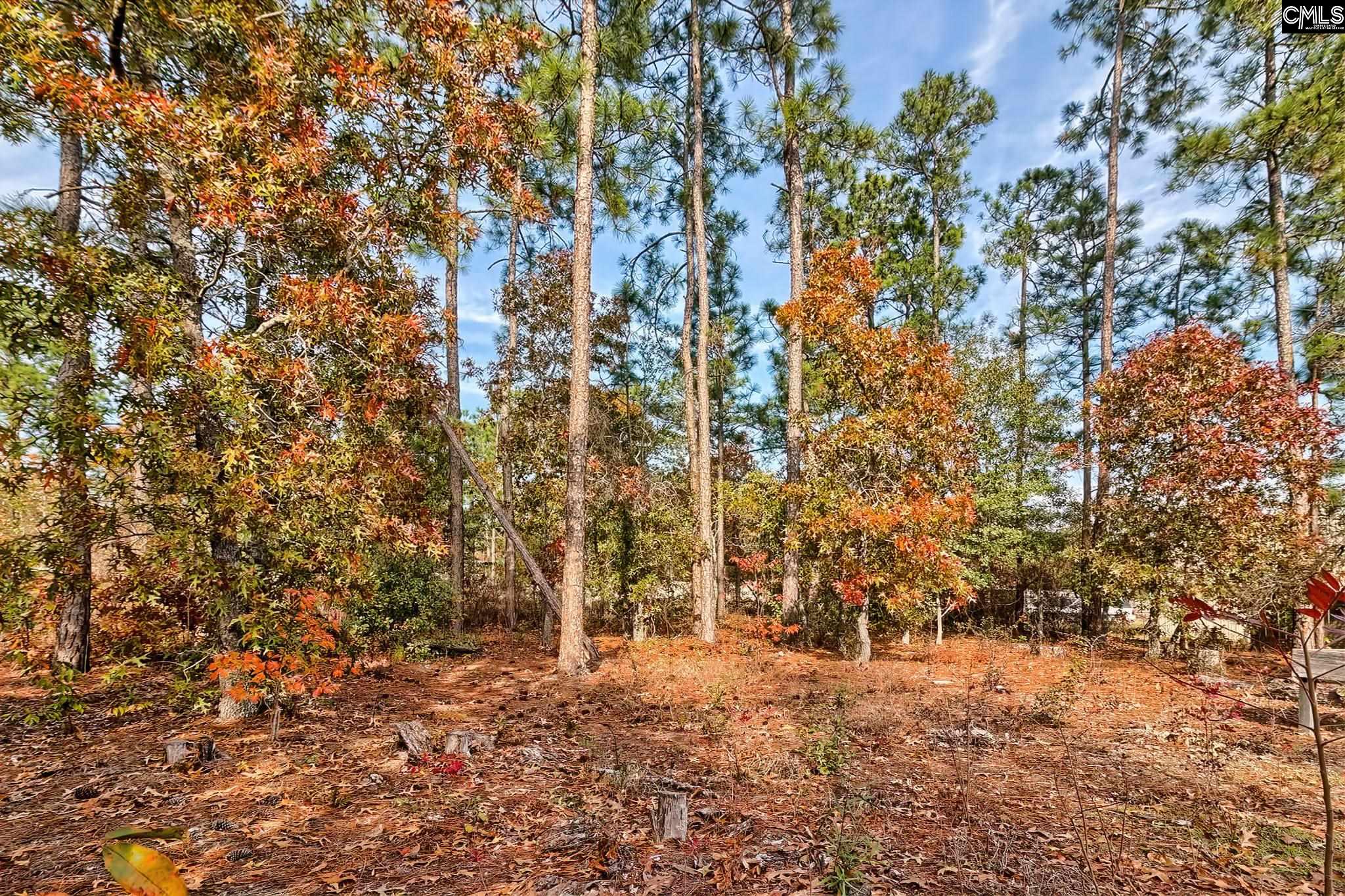 137 Braelin Court, Gaston, South Carolina image 2