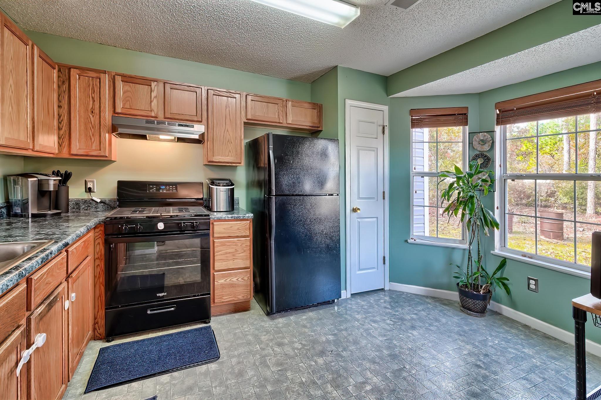137 Braelin Court, Gaston, South Carolina image 21