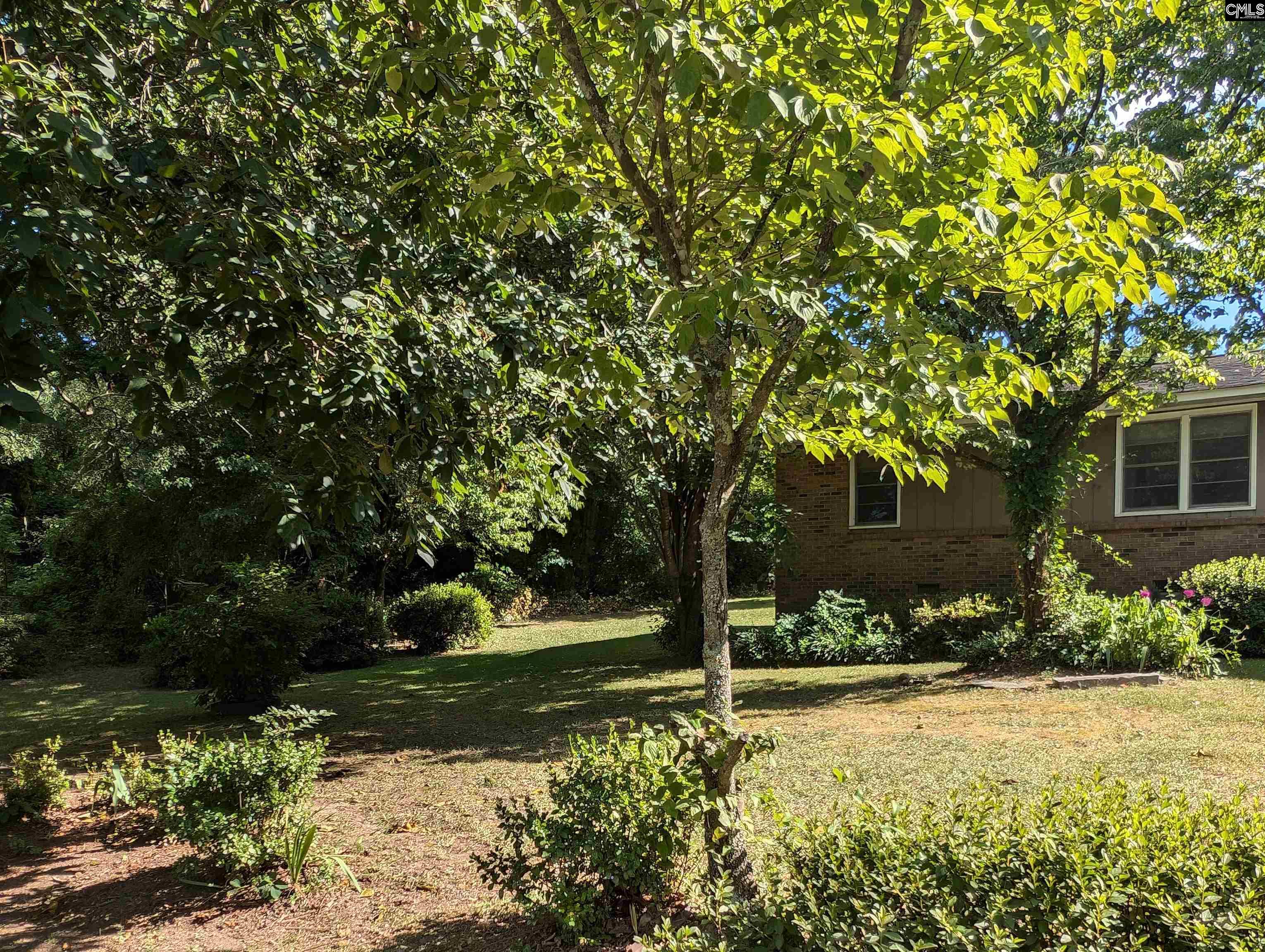 9068 State Highway 34 E, Ridgeway, South Carolina image 21