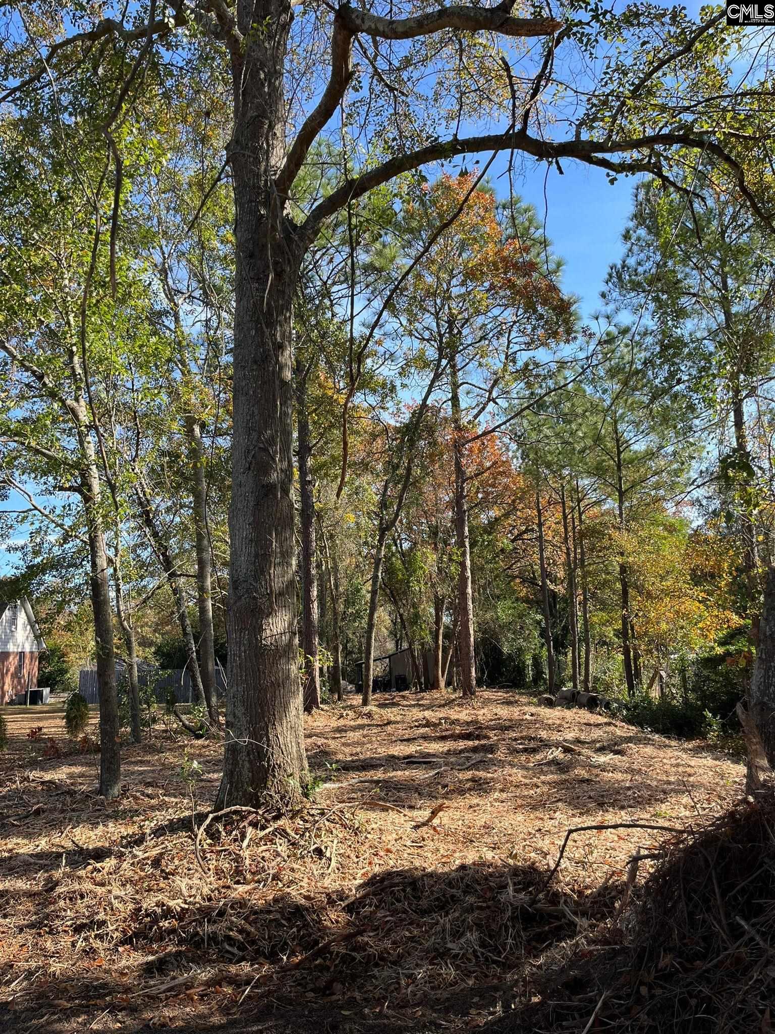 217 Sease Hill Road Lexington, SC 29073