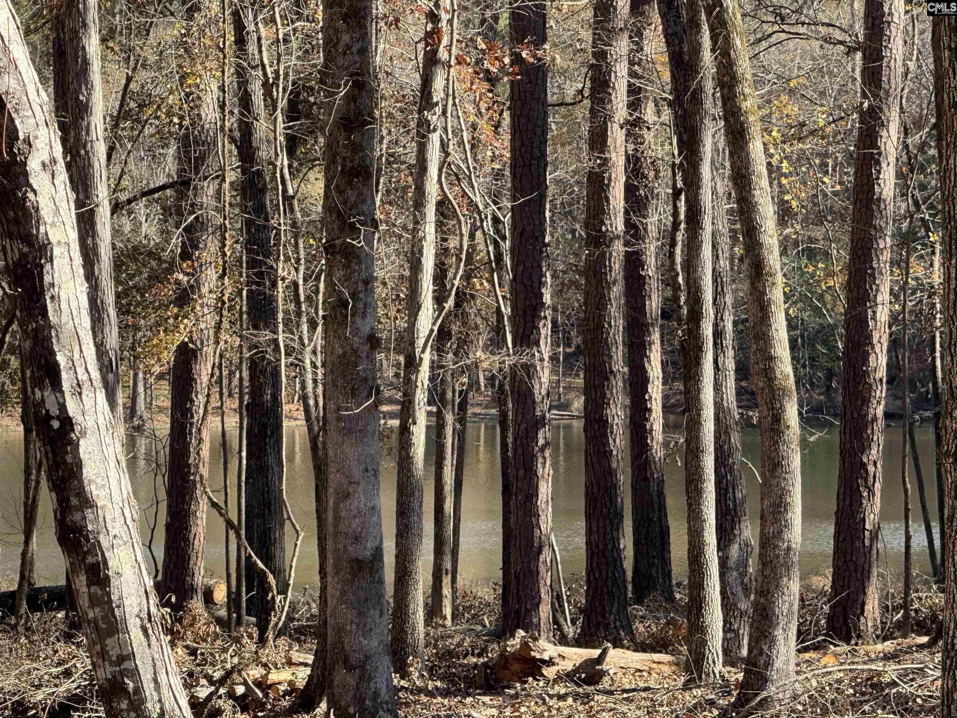 Lot 40 Shoreview Drive Unit Lot 40 Prosperity, SC 29127