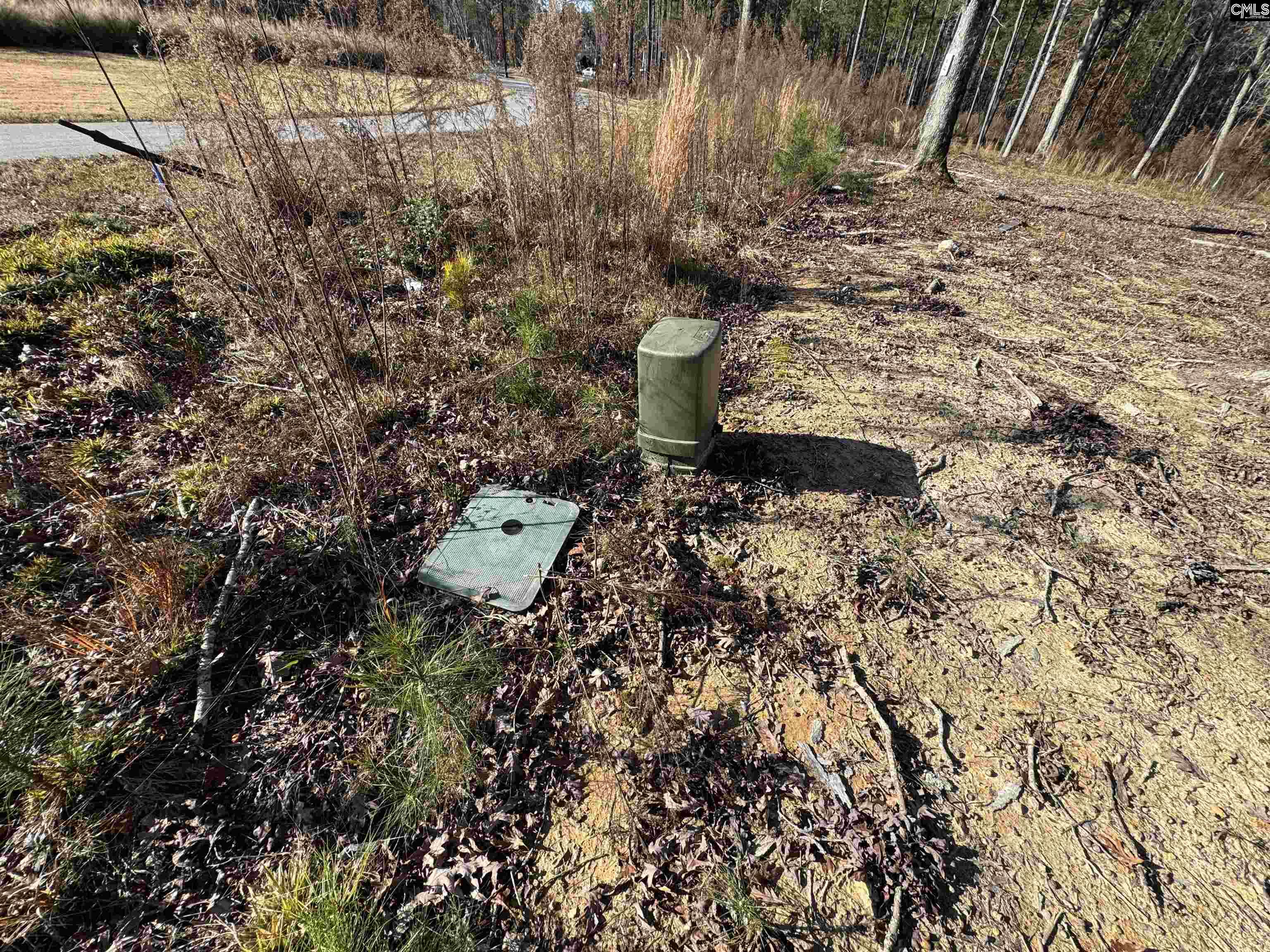 Lot 40 Shoreview Drive UNIT Lot 40 Prosperity, SC 29127