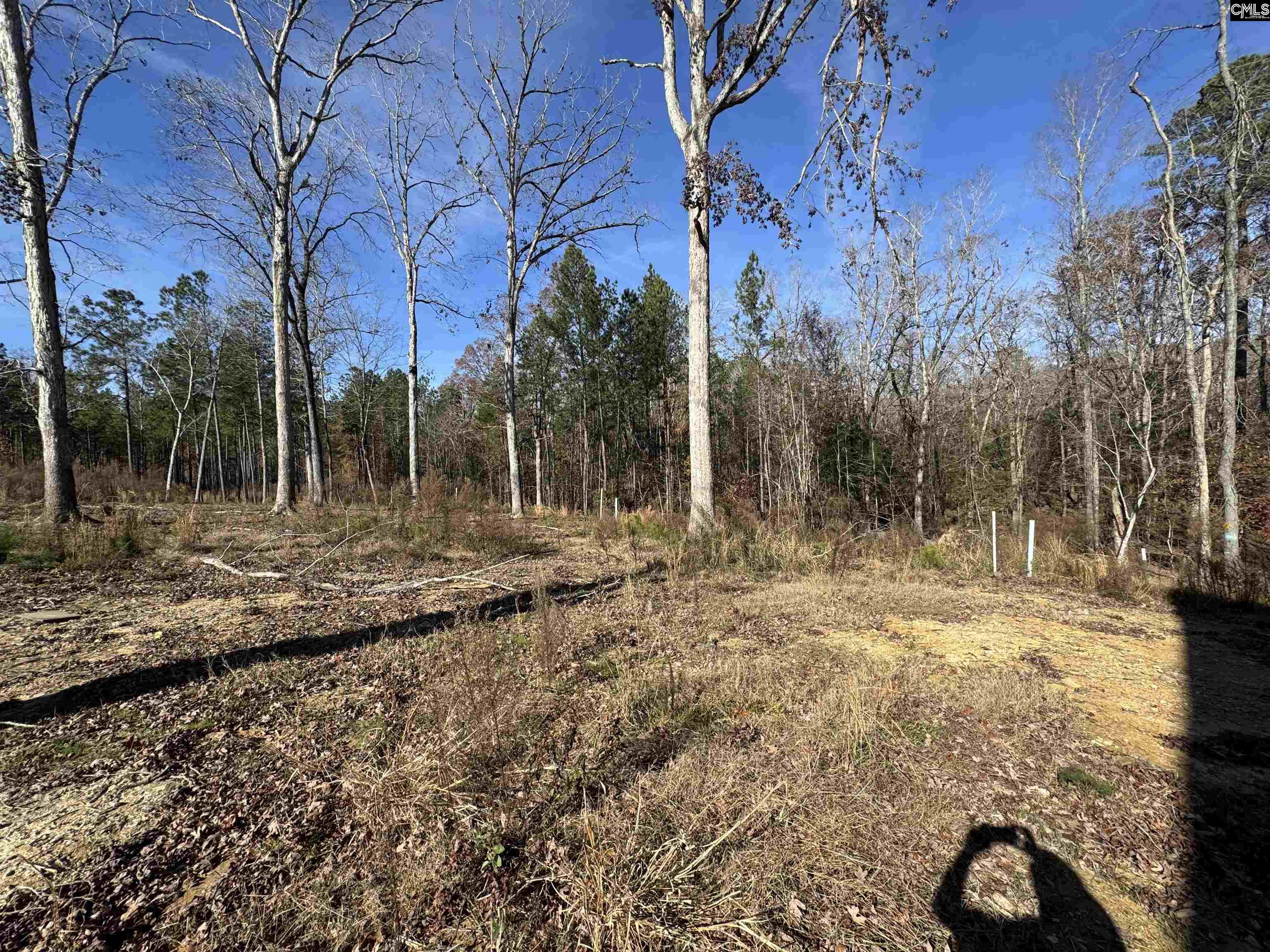 Lot 40 Shoreview Drive UNIT Lot 40 Prosperity, SC 29127