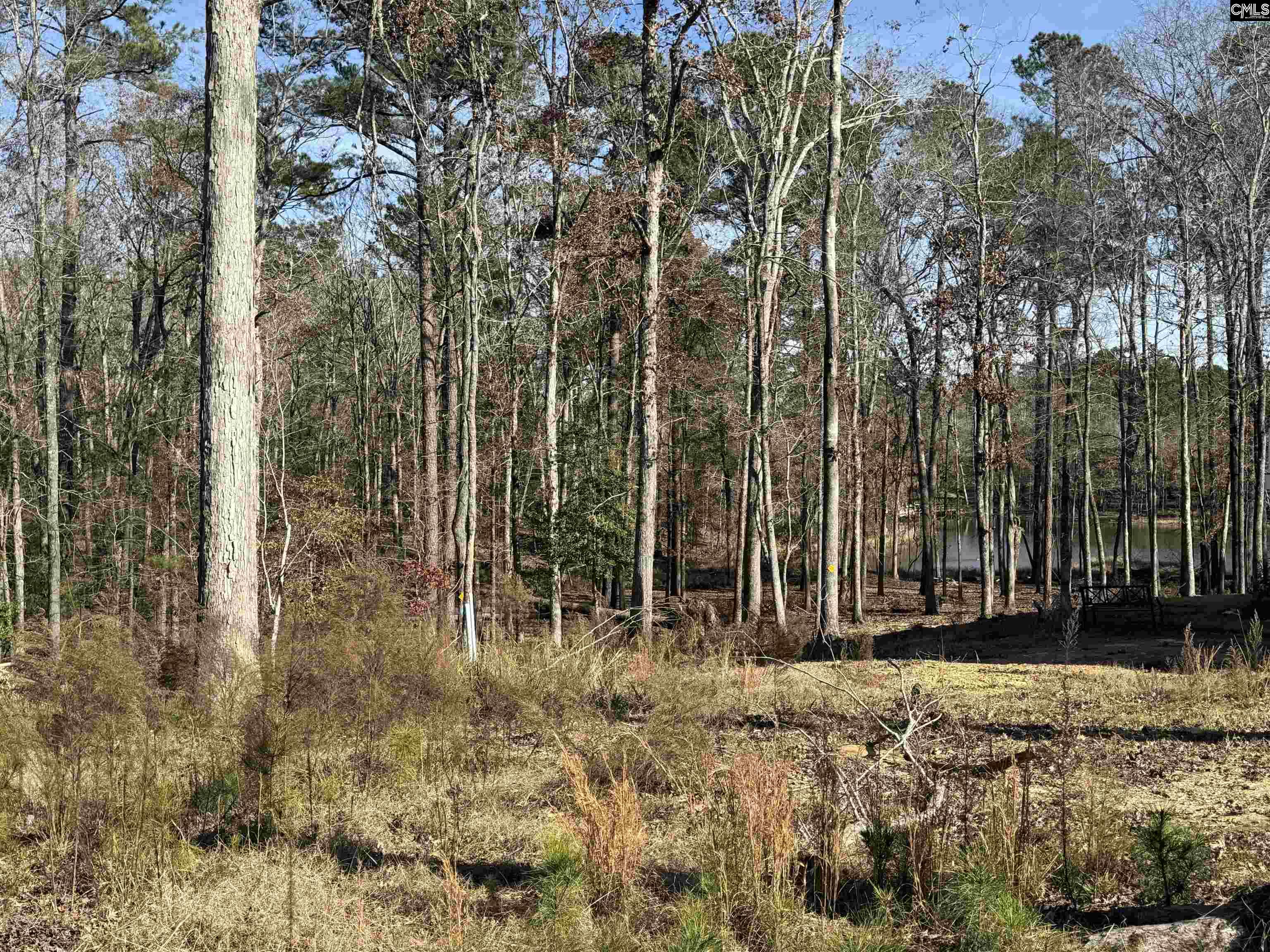 Lot 40 Shoreview Drive UNIT Lot 40 Prosperity, SC 29127