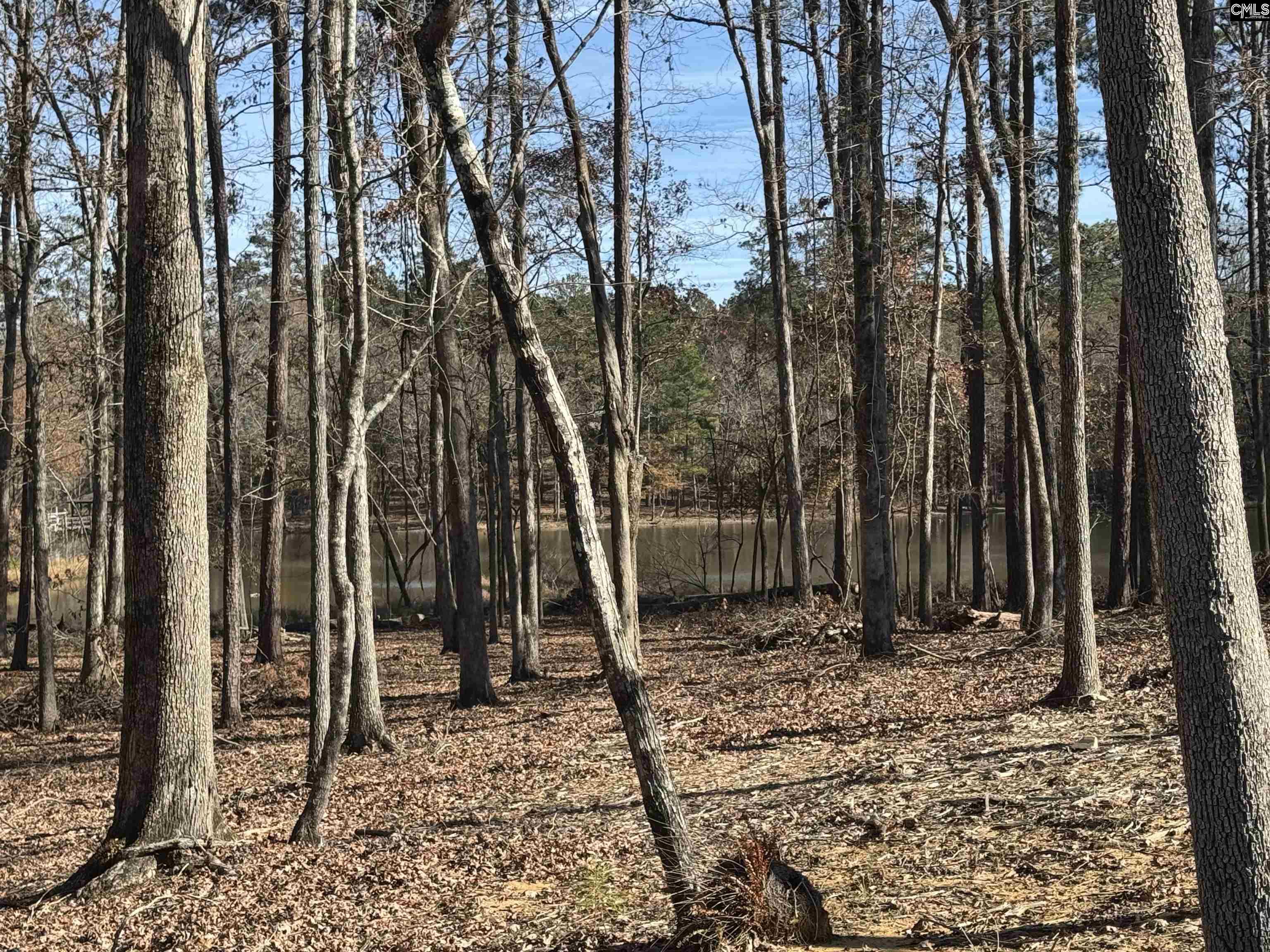 Lot 40 Shoreview Drive UNIT Lot 40 Prosperity, SC 29127