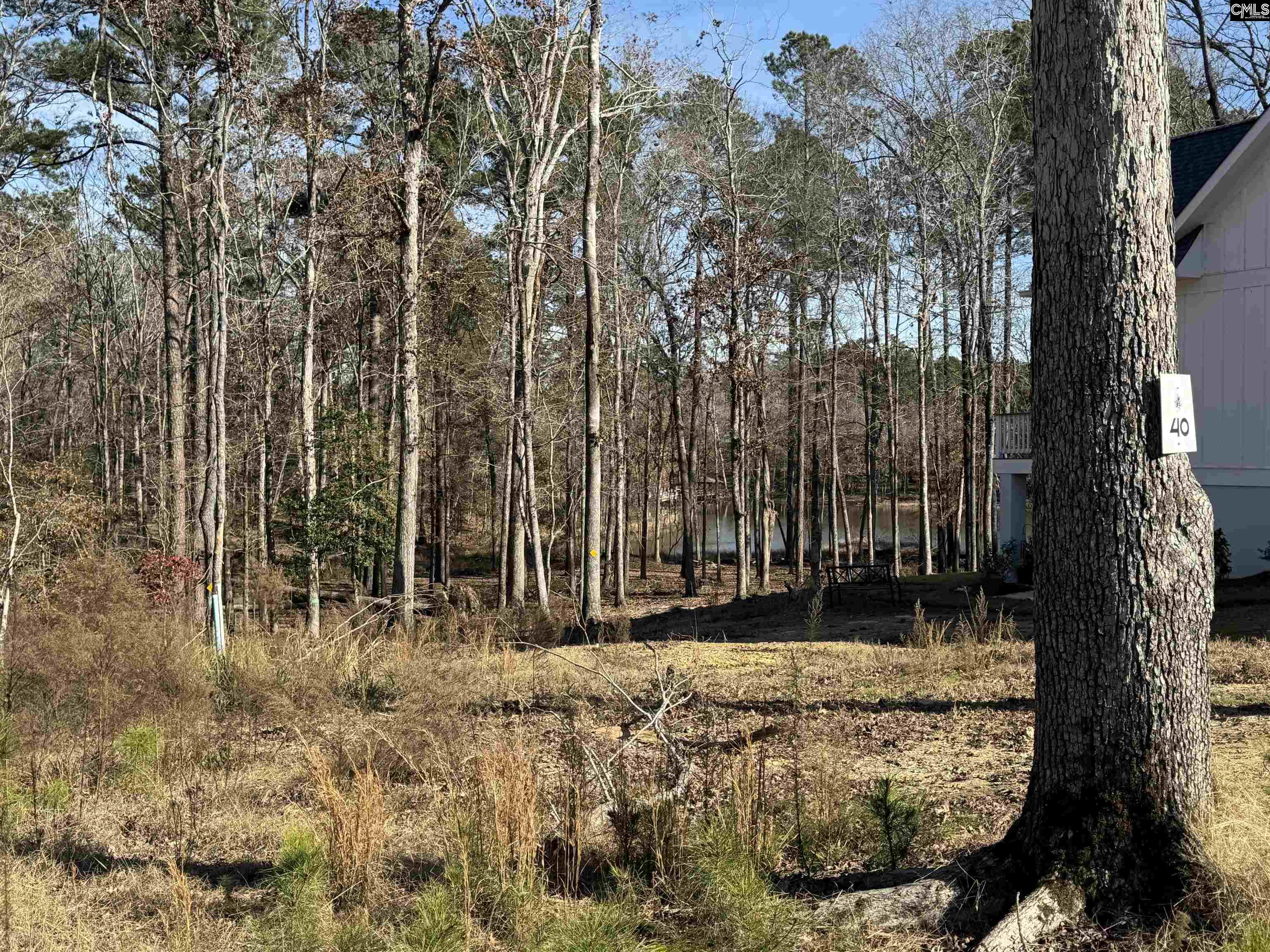 Lot 40 Shoreview Drive UNIT Lot 40 Prosperity, SC 29127